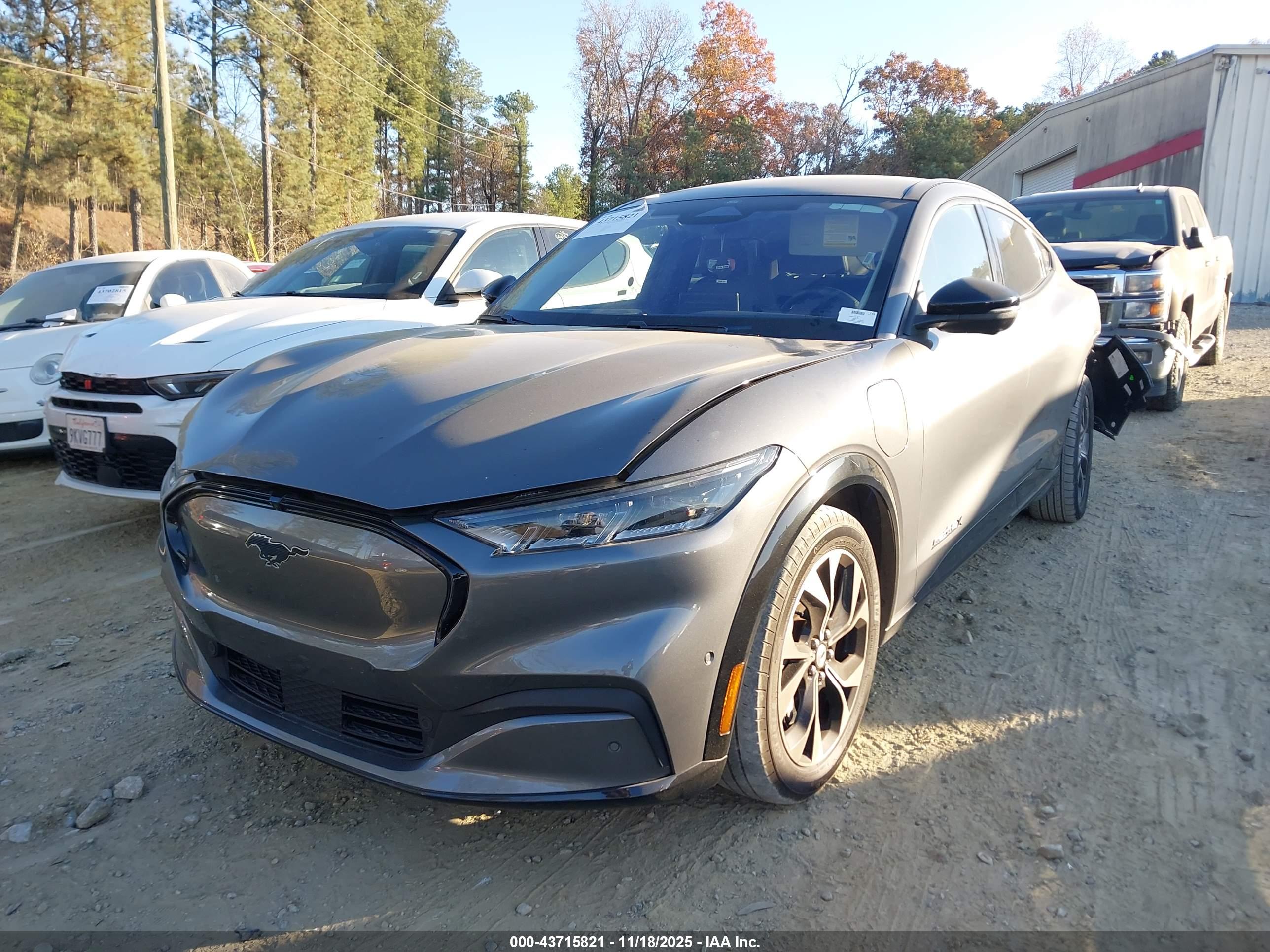 FORD MUSTANG image 2