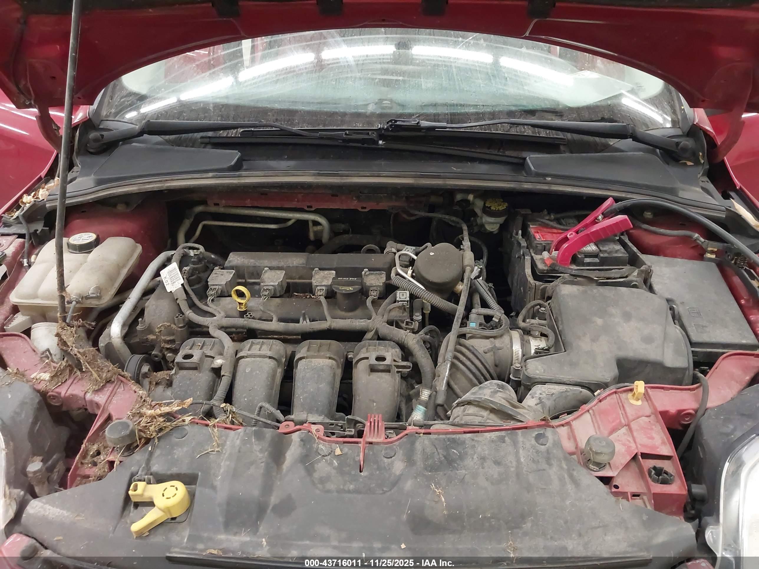 FORD FOCUS image 10