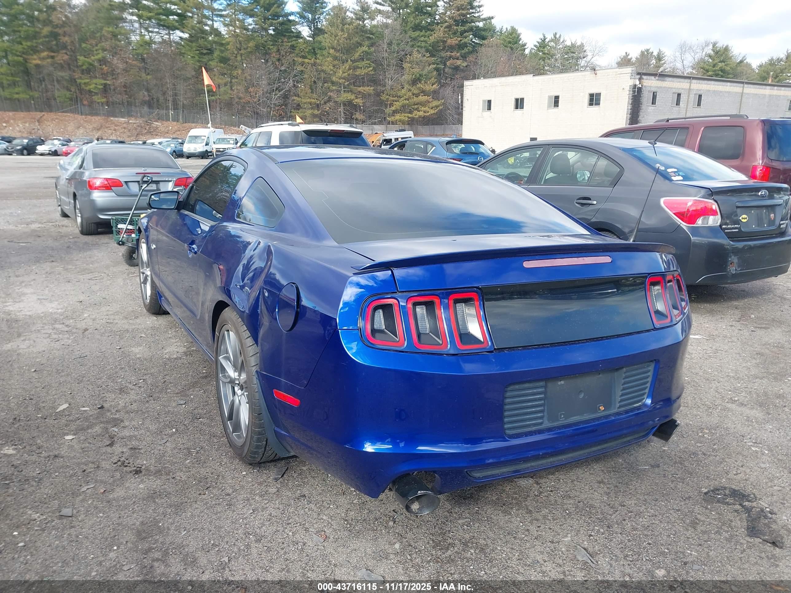 FORD MUSTANG image 3