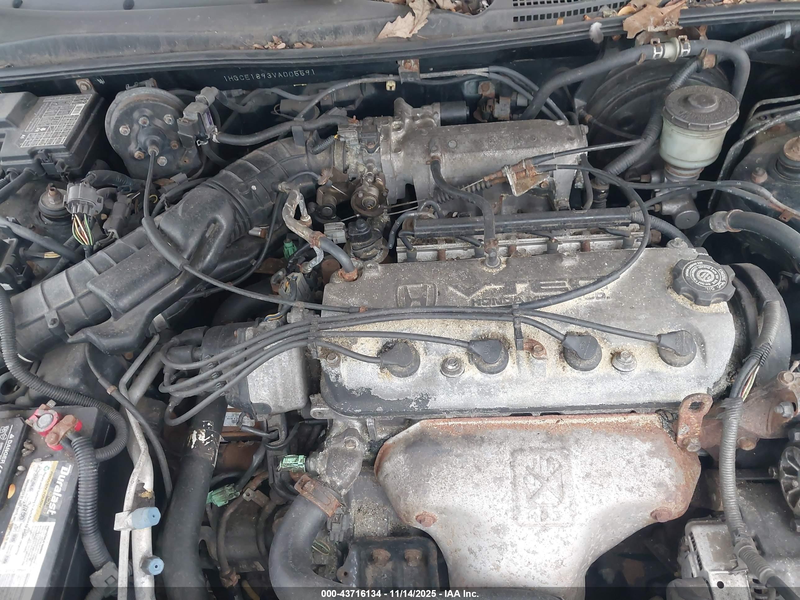 HONDA ACCORD image 10