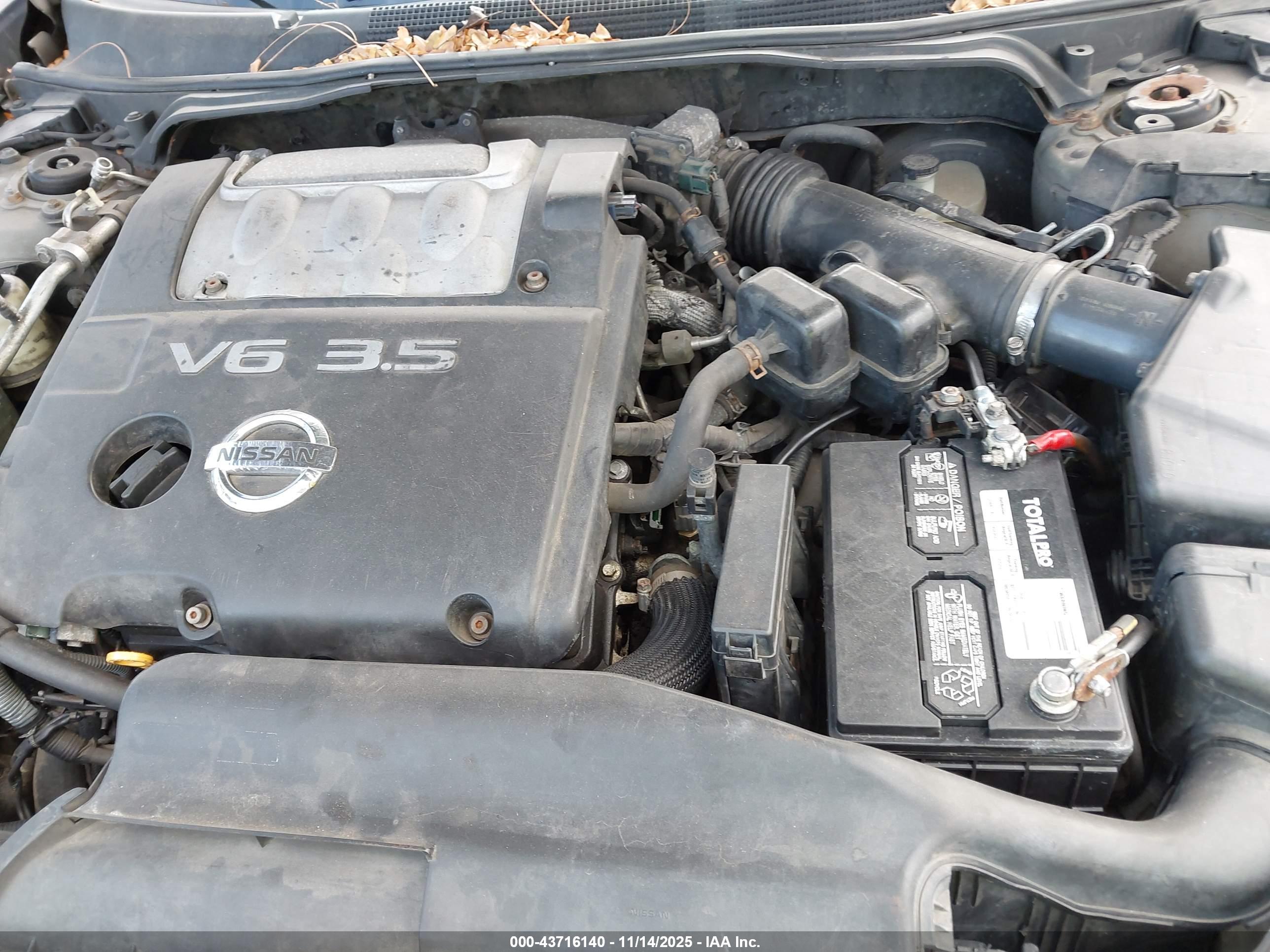 NISSAN MAXIMA image 10