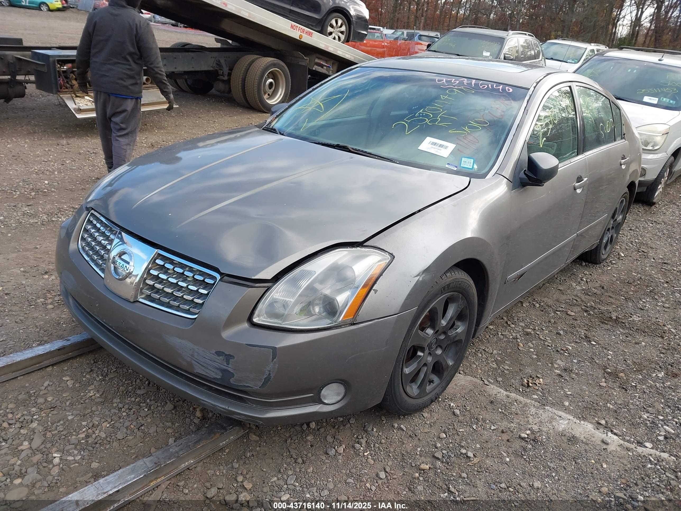 NISSAN MAXIMA image 2