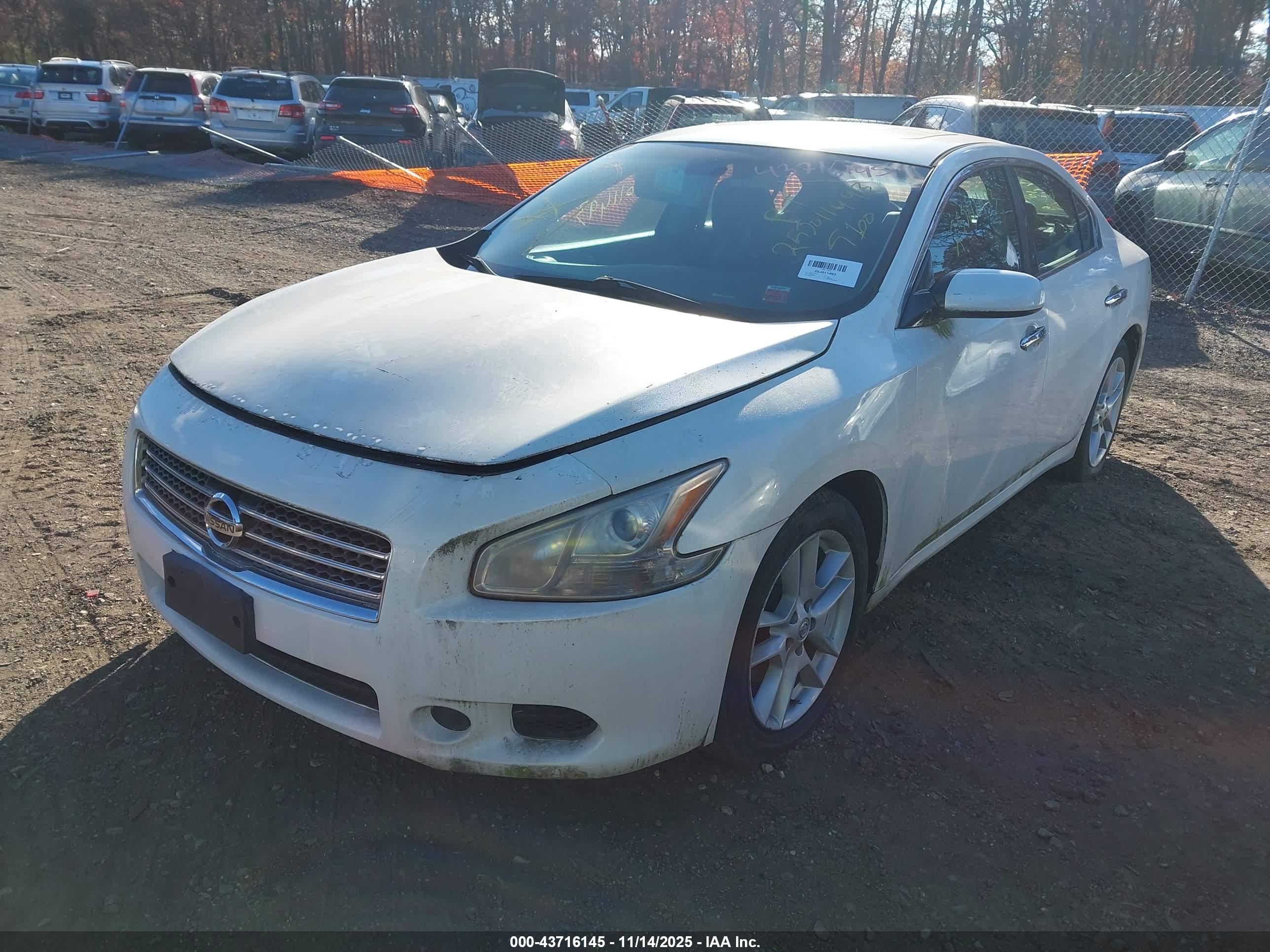 NISSAN MAXIMA image 2