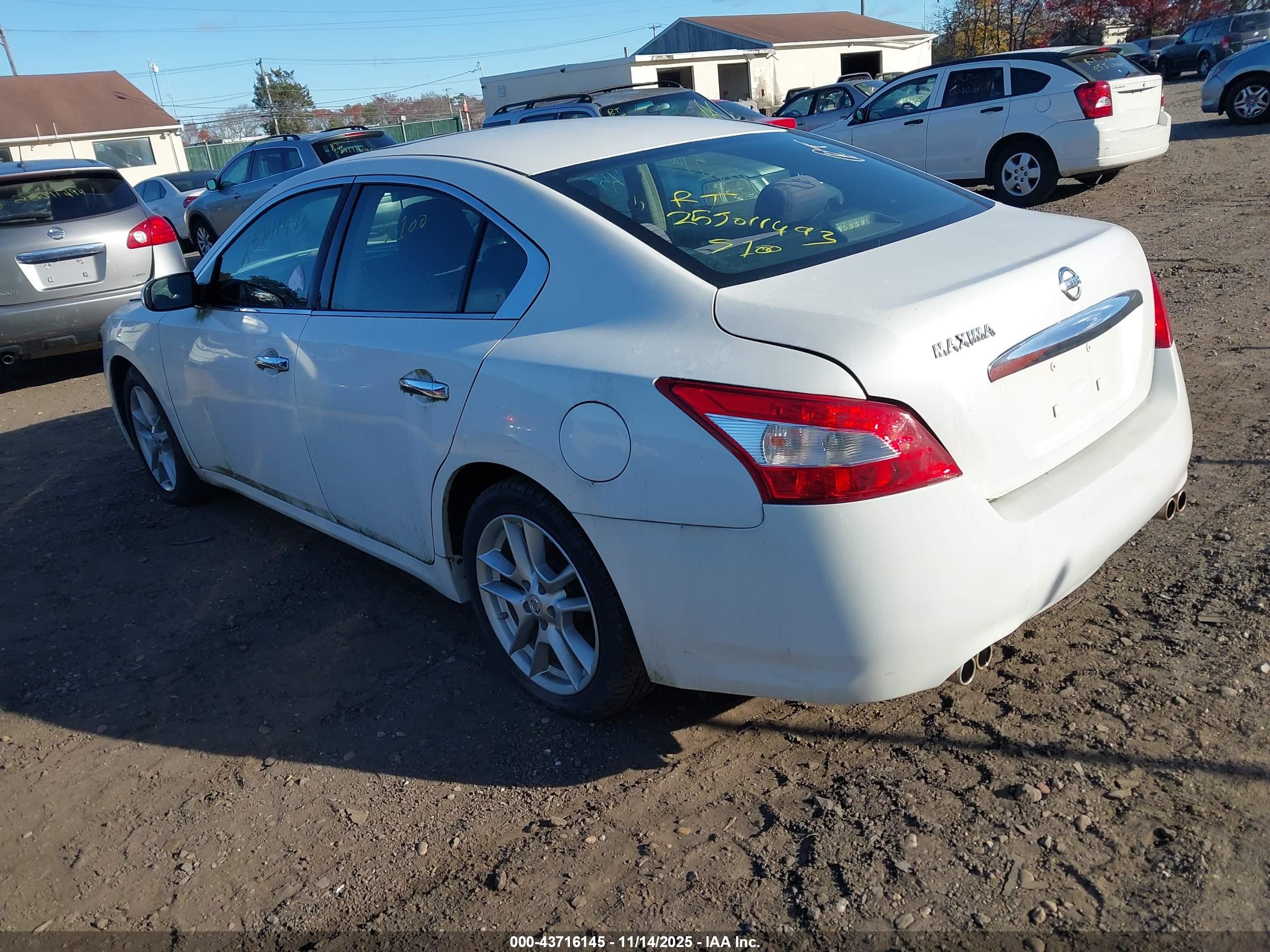 NISSAN MAXIMA image 3