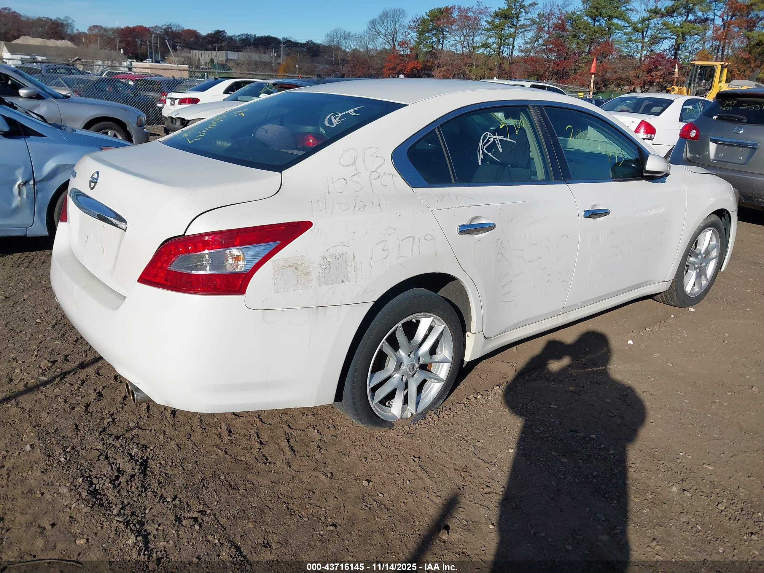 NISSAN MAXIMA image 4