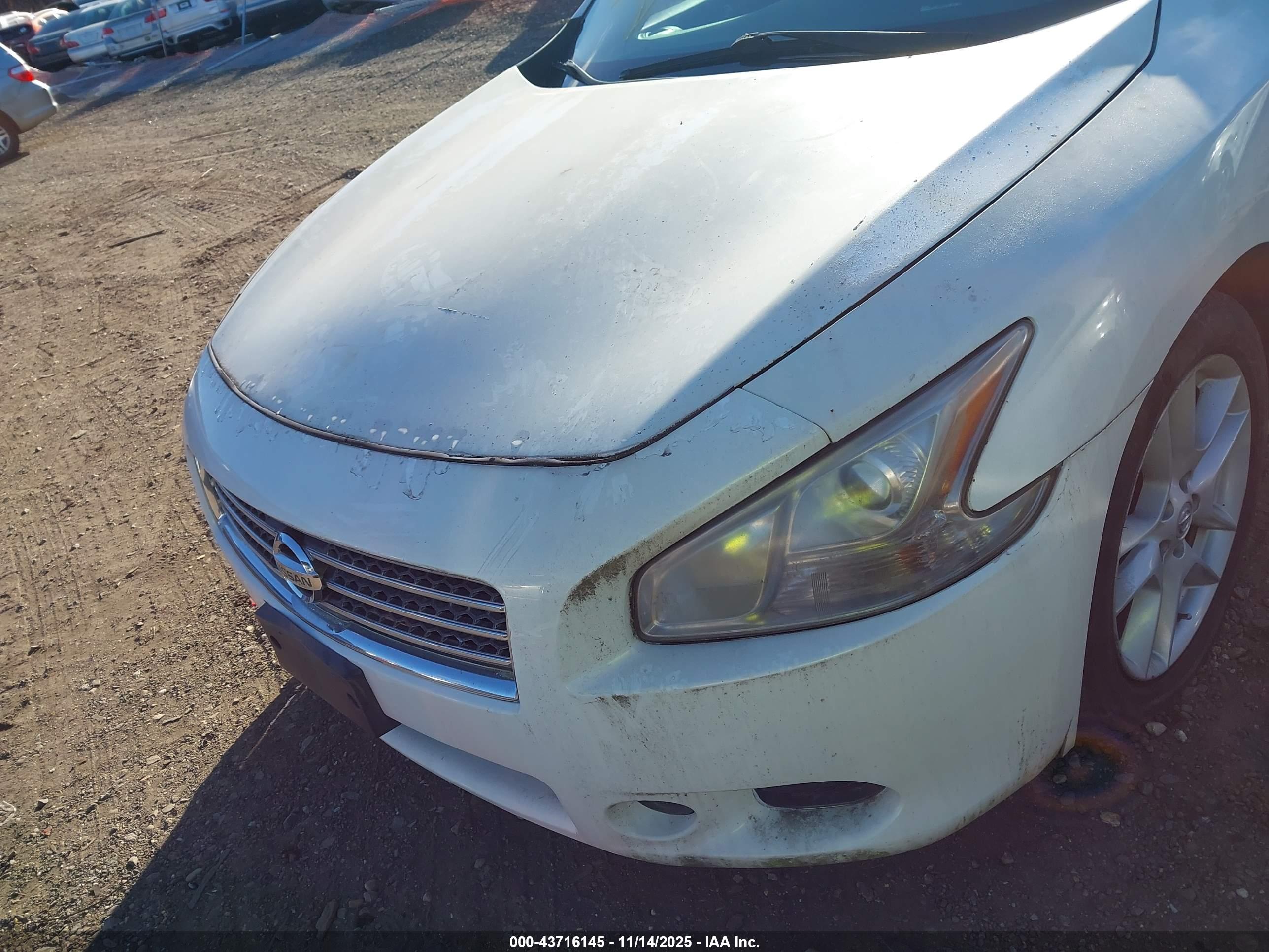 NISSAN MAXIMA image 6