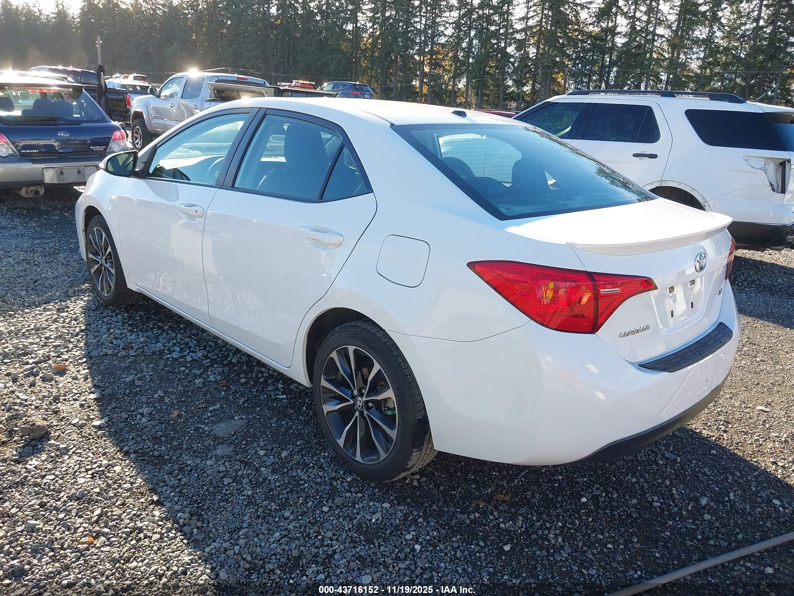 TOYOTA COROLLA image 3