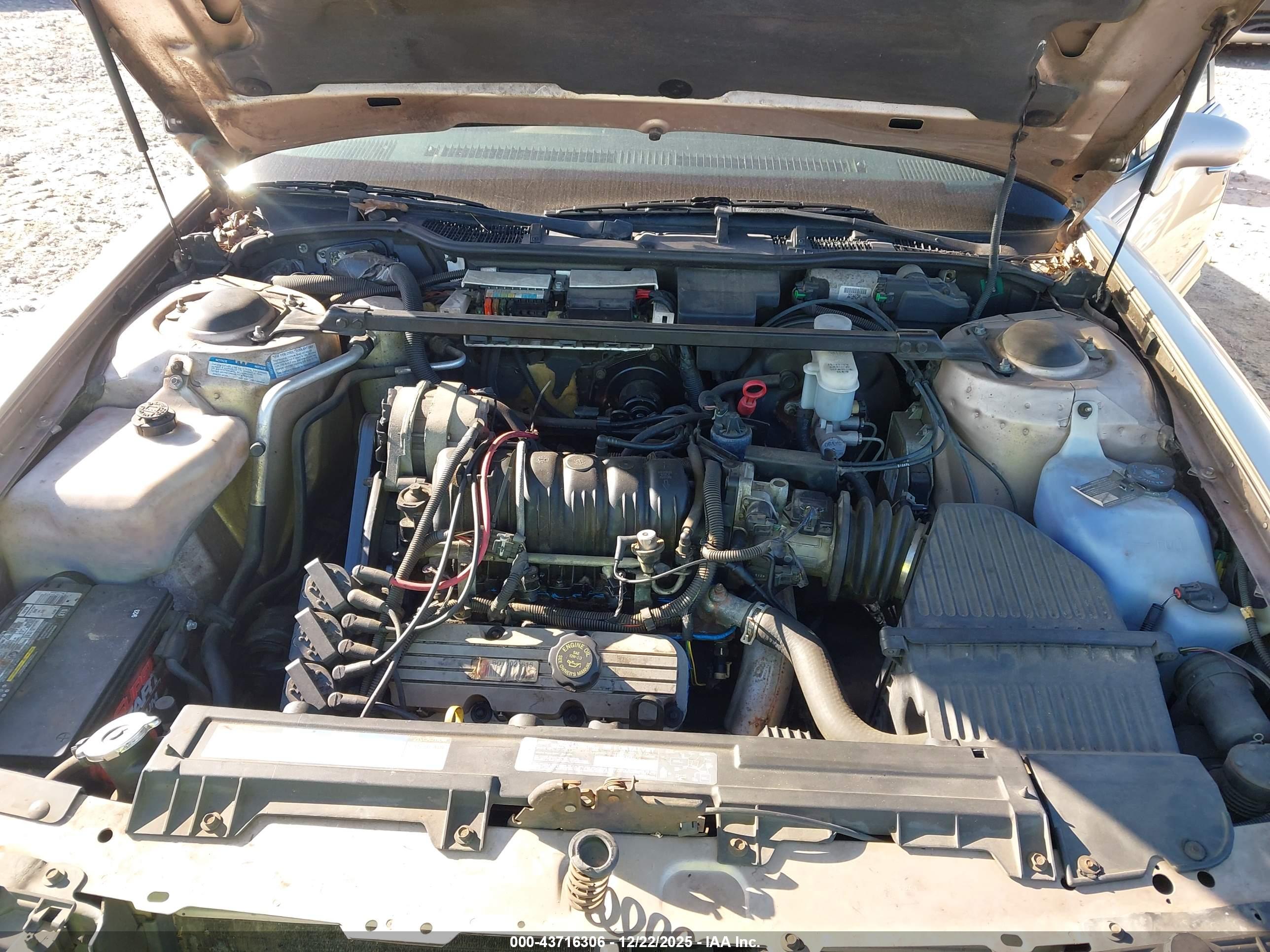 BUICK PARK image 10