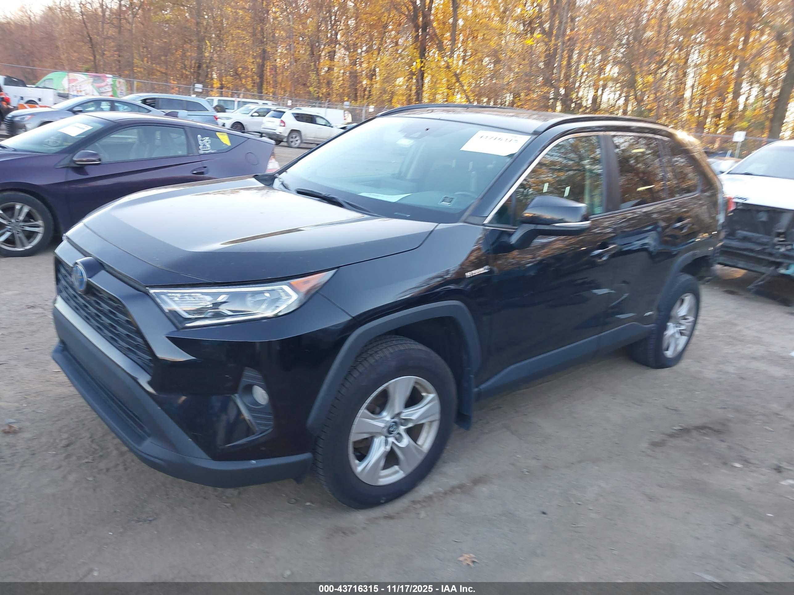 TOYOTA RAV4 image 2