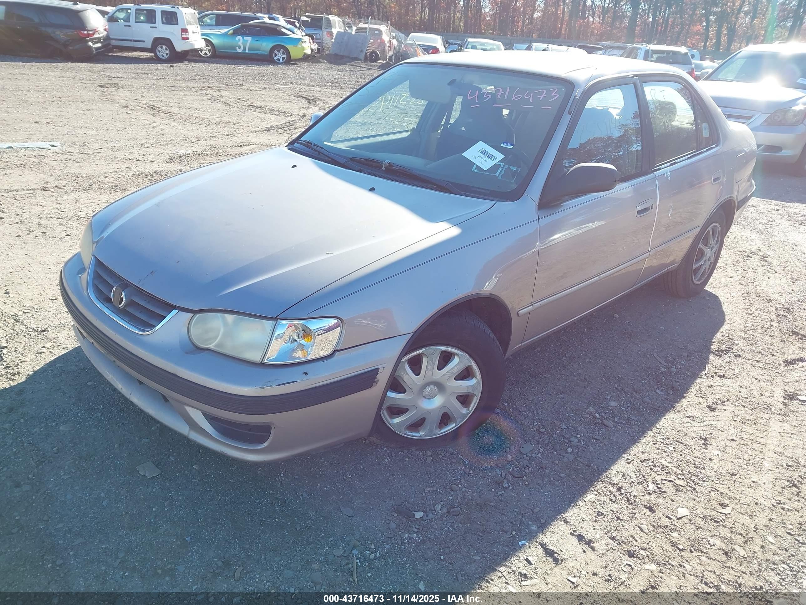 TOYOTA COROLLA image 2