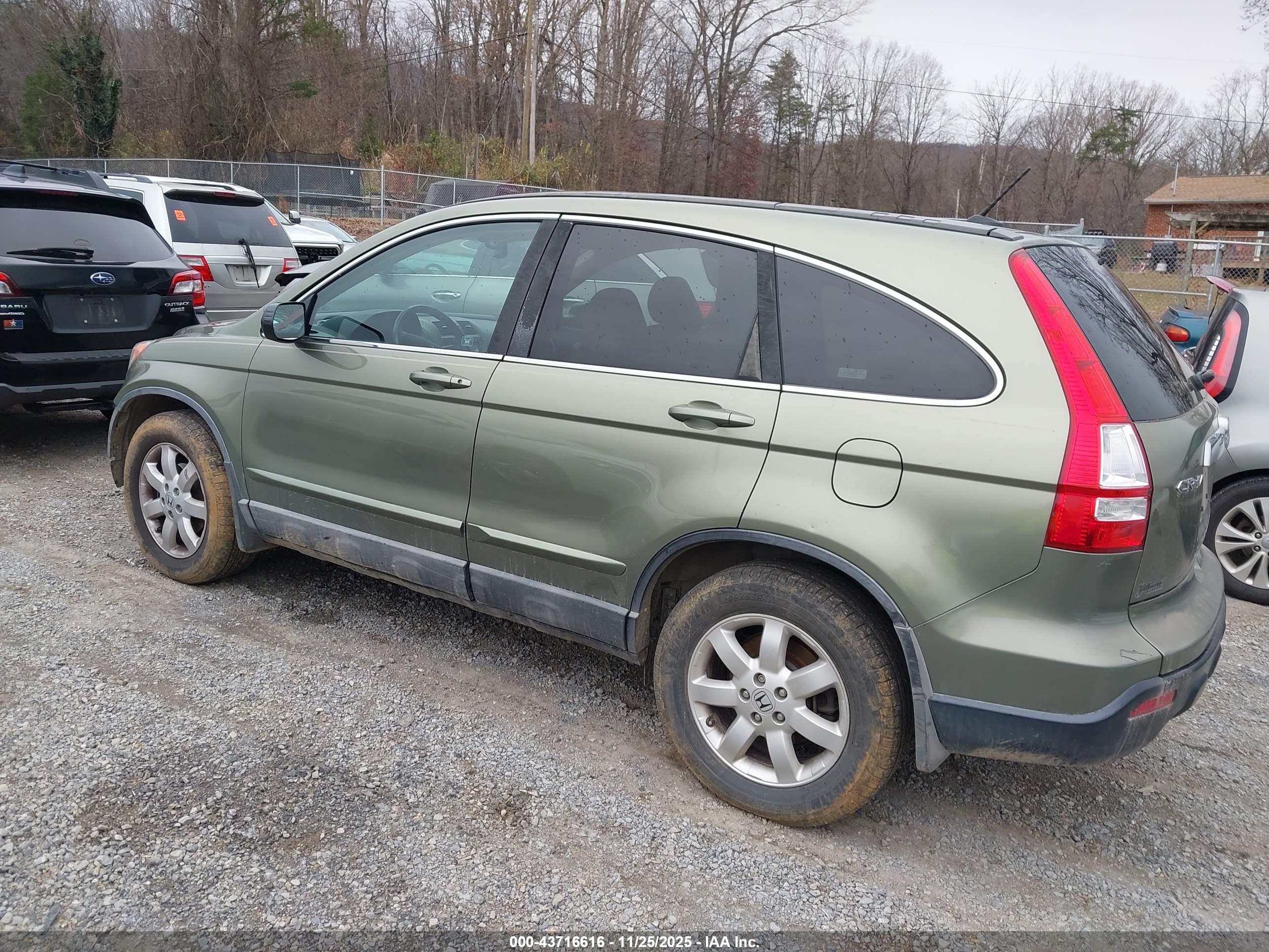 HONDA CR-V image 3