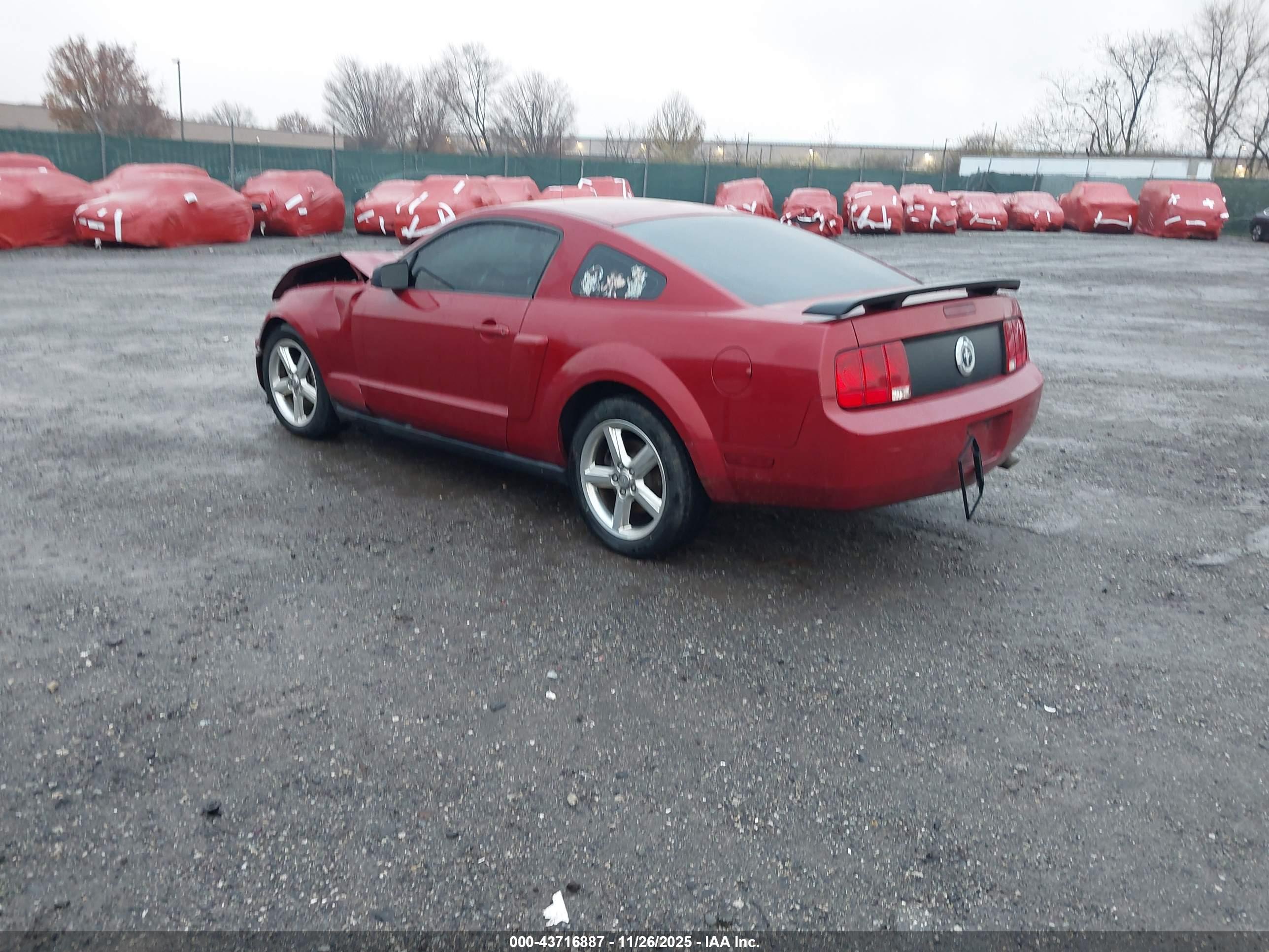 FORD MUSTANG image 3