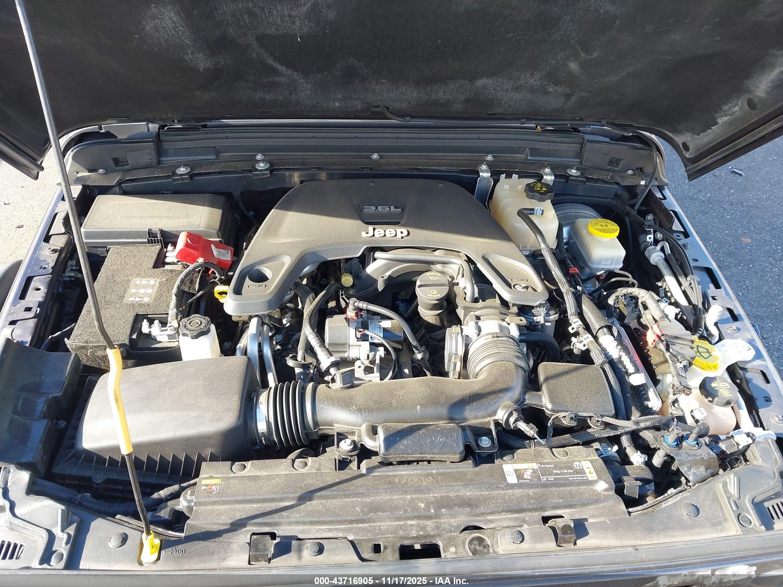 JEEP WRANGLER image 10