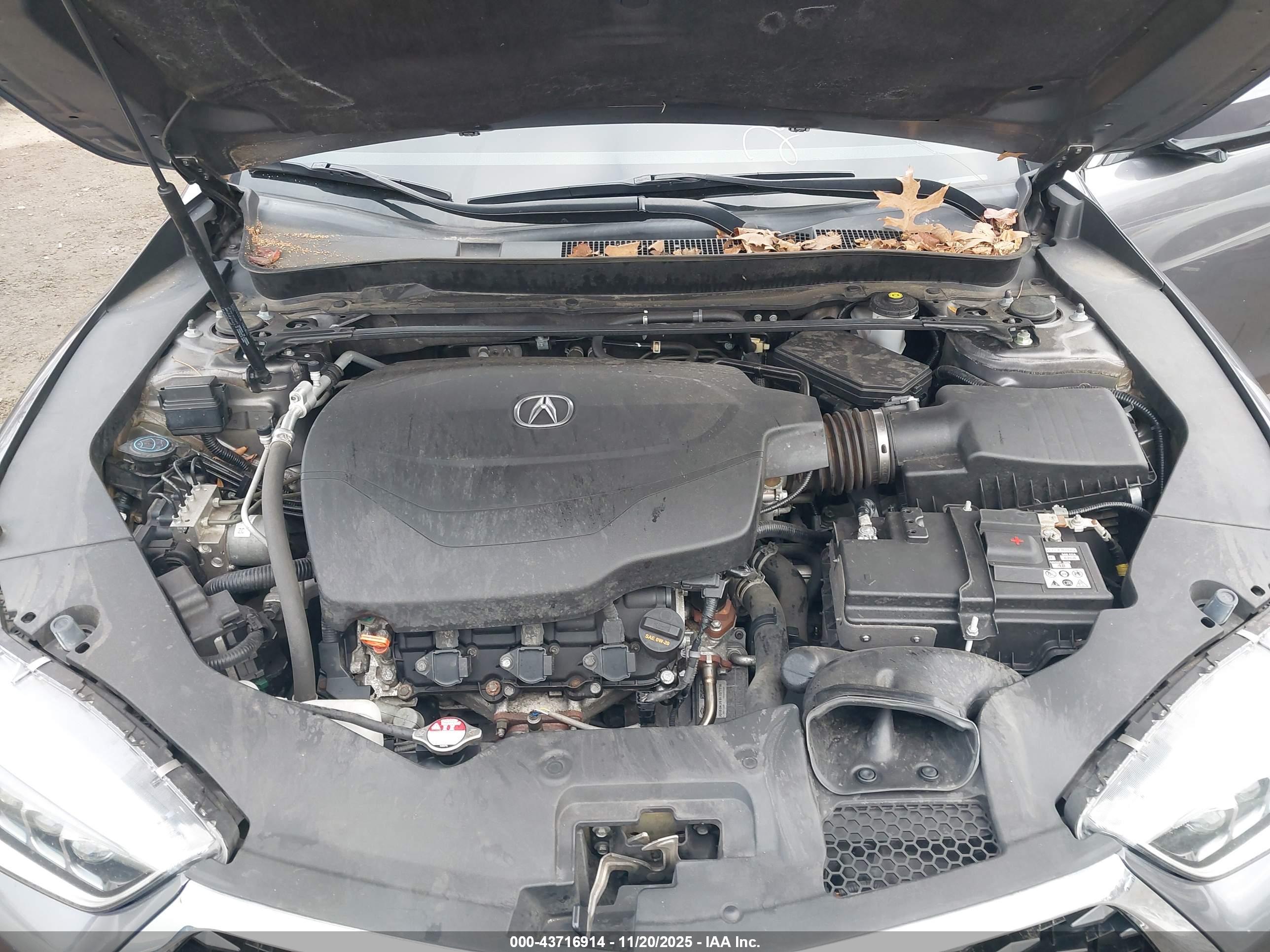 ACURA TLX image 10