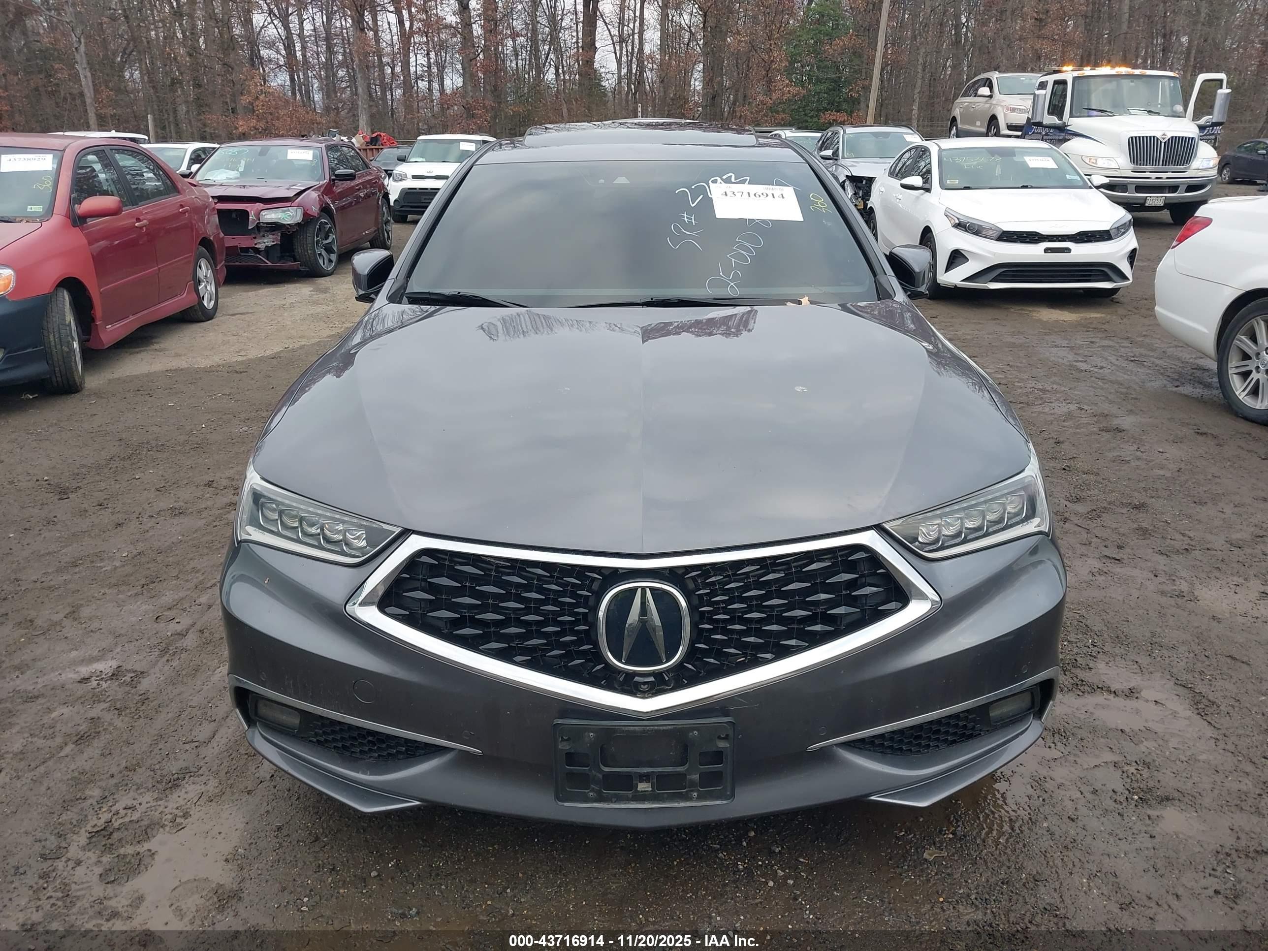 ACURA TLX image 6