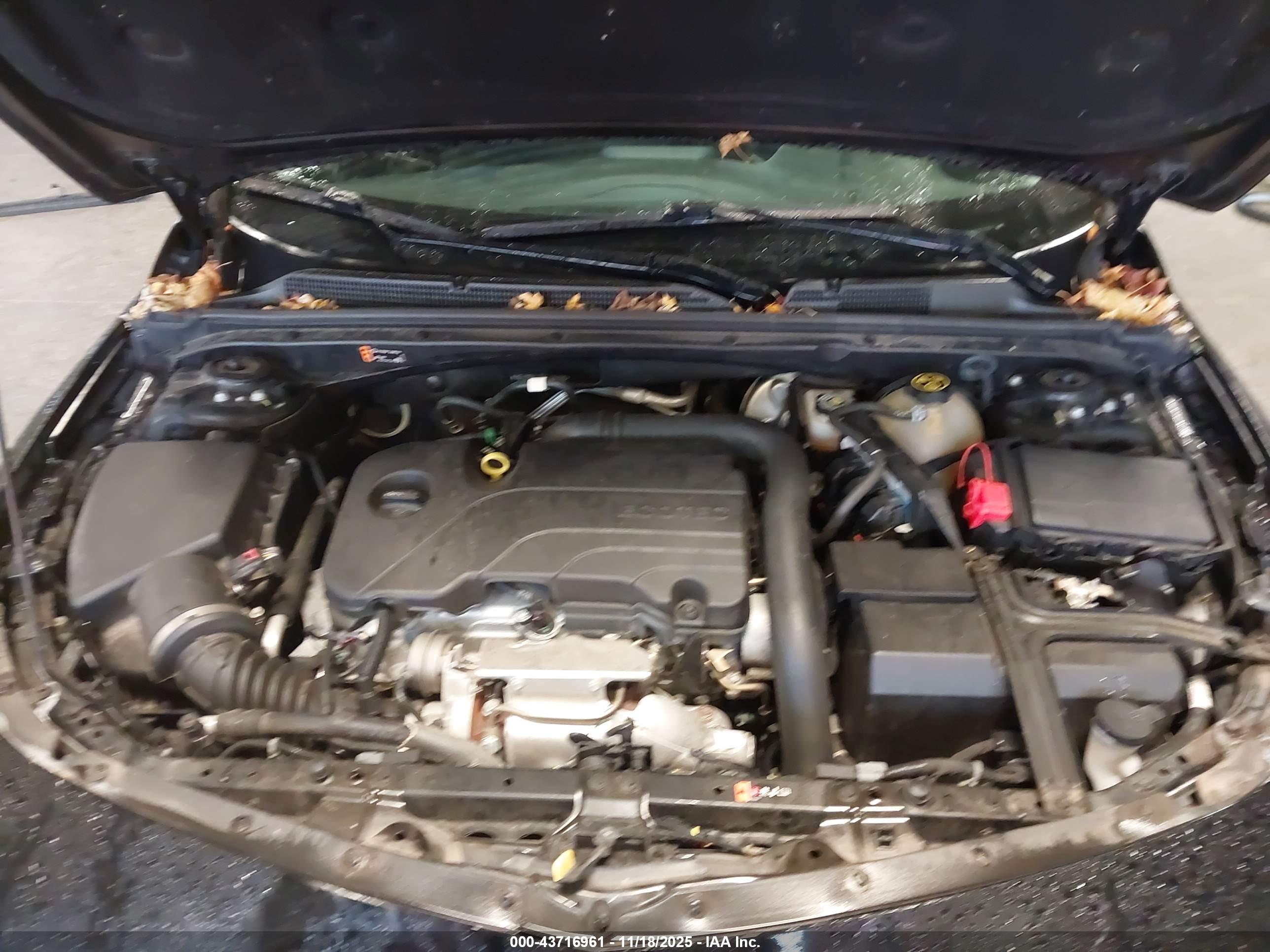 CHEVROLET MALIBU image 10