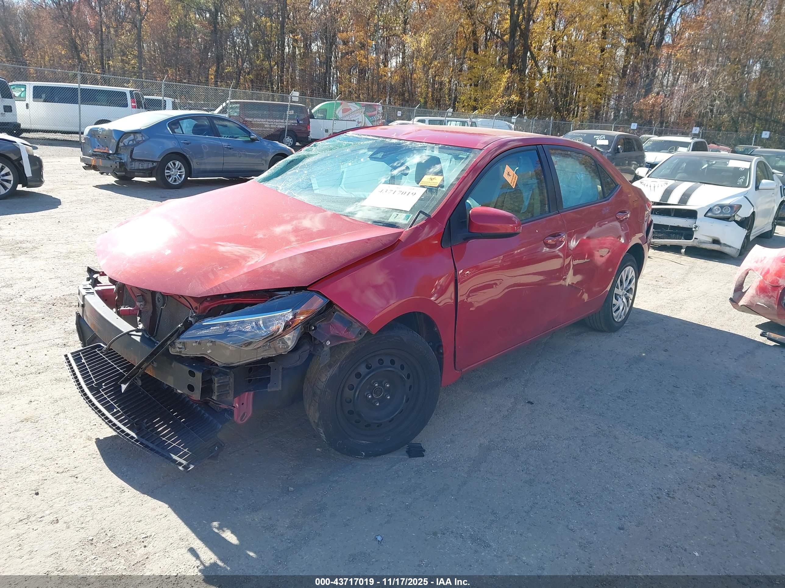TOYOTA COROLLA image 2