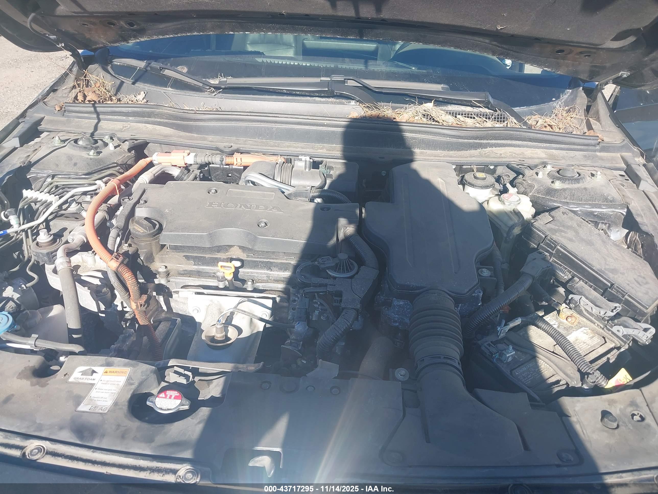 HONDA ACCORD image 10