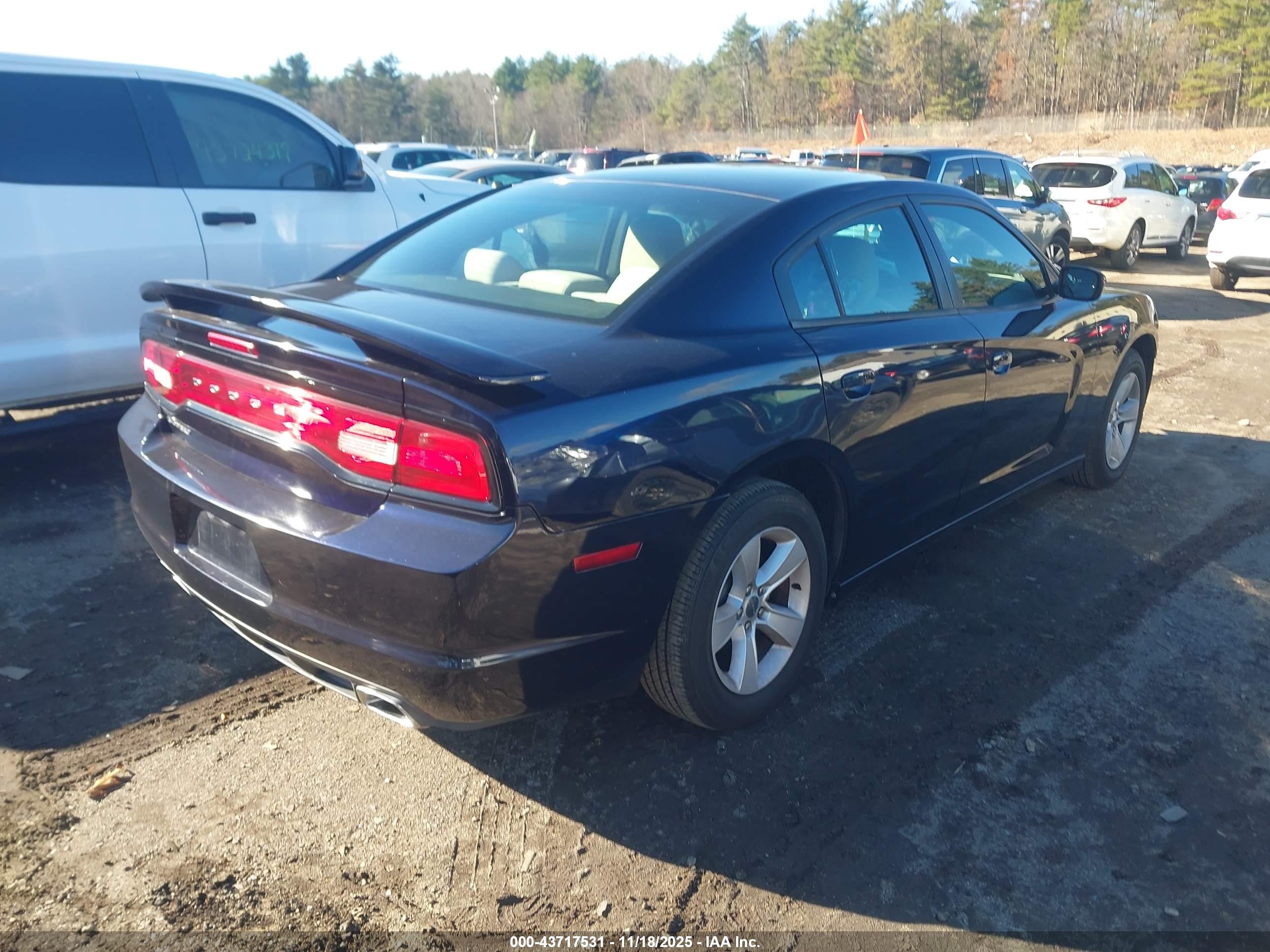 DODGE CHARGER image 4