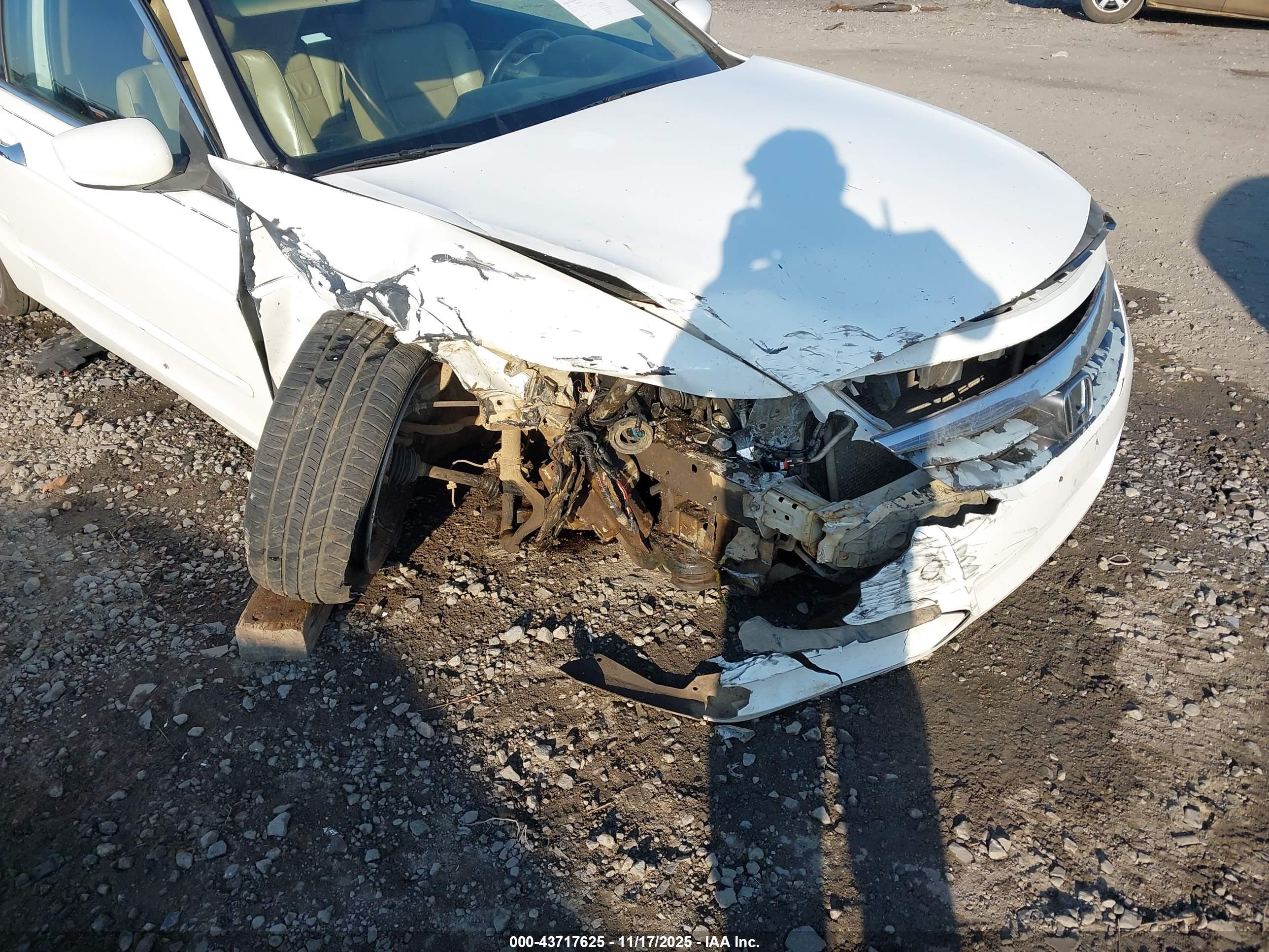 HONDA ACCORD image 6