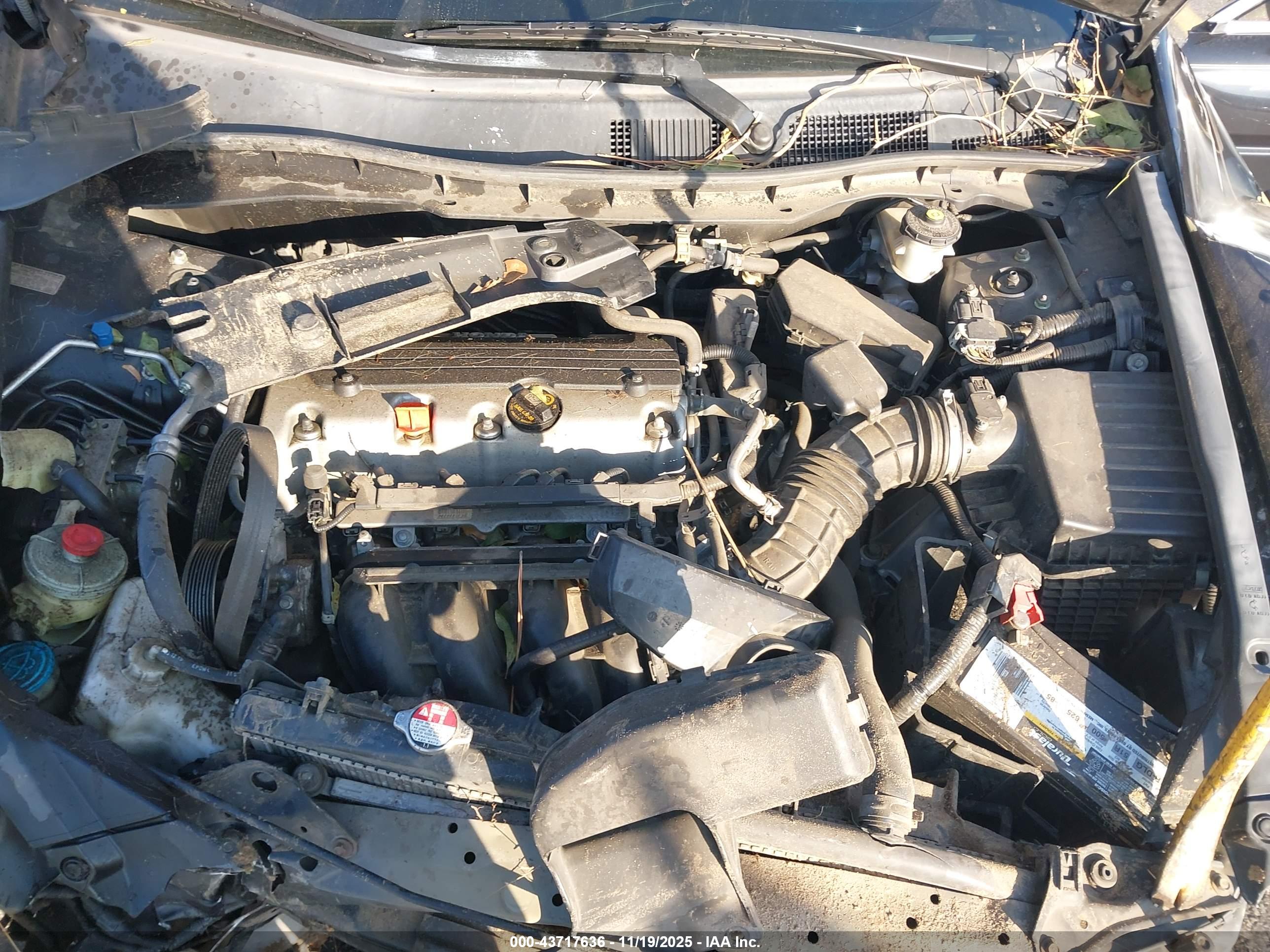 HONDA ACCORD image 10