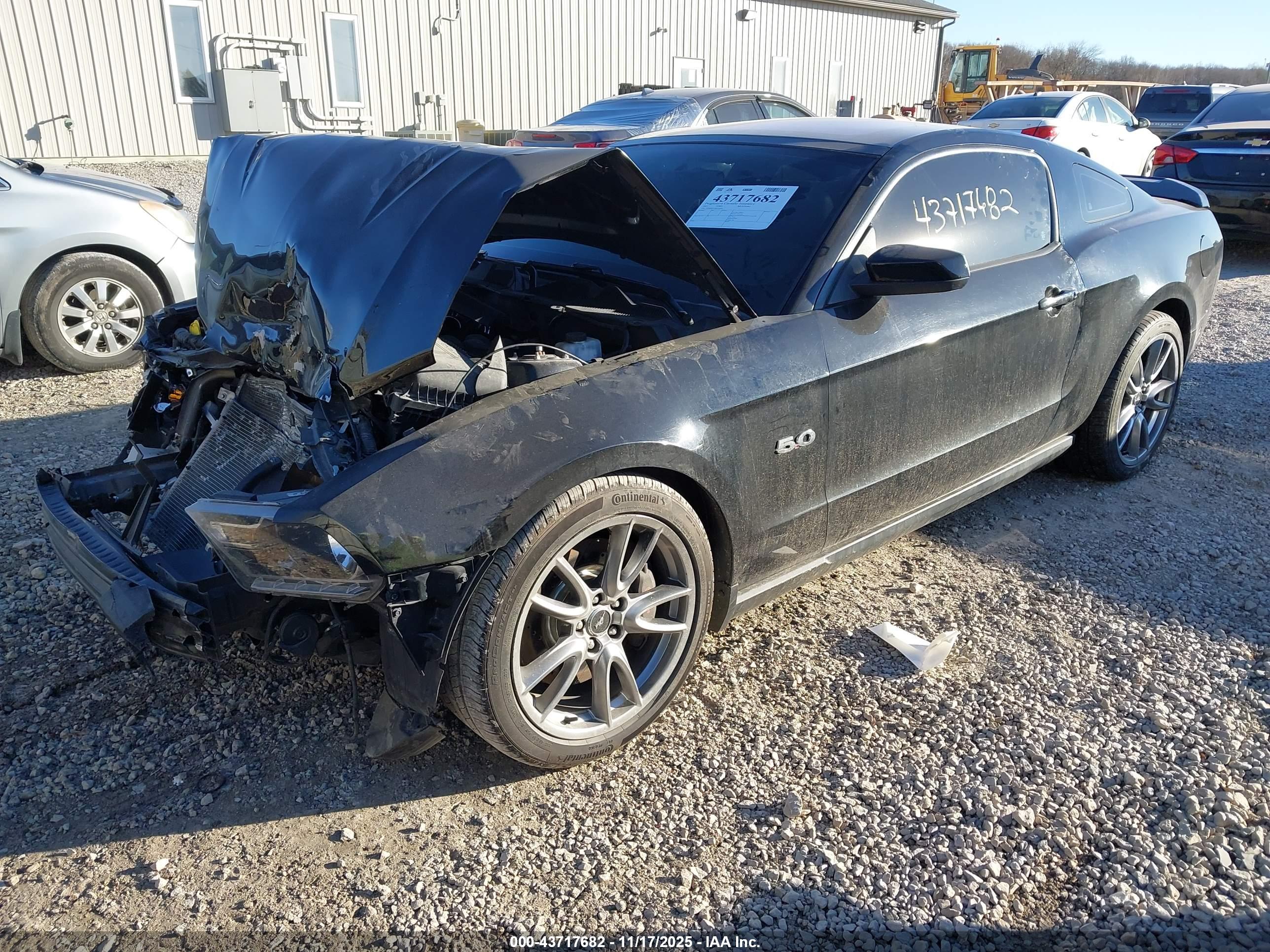 FORD MUSTANG image 2