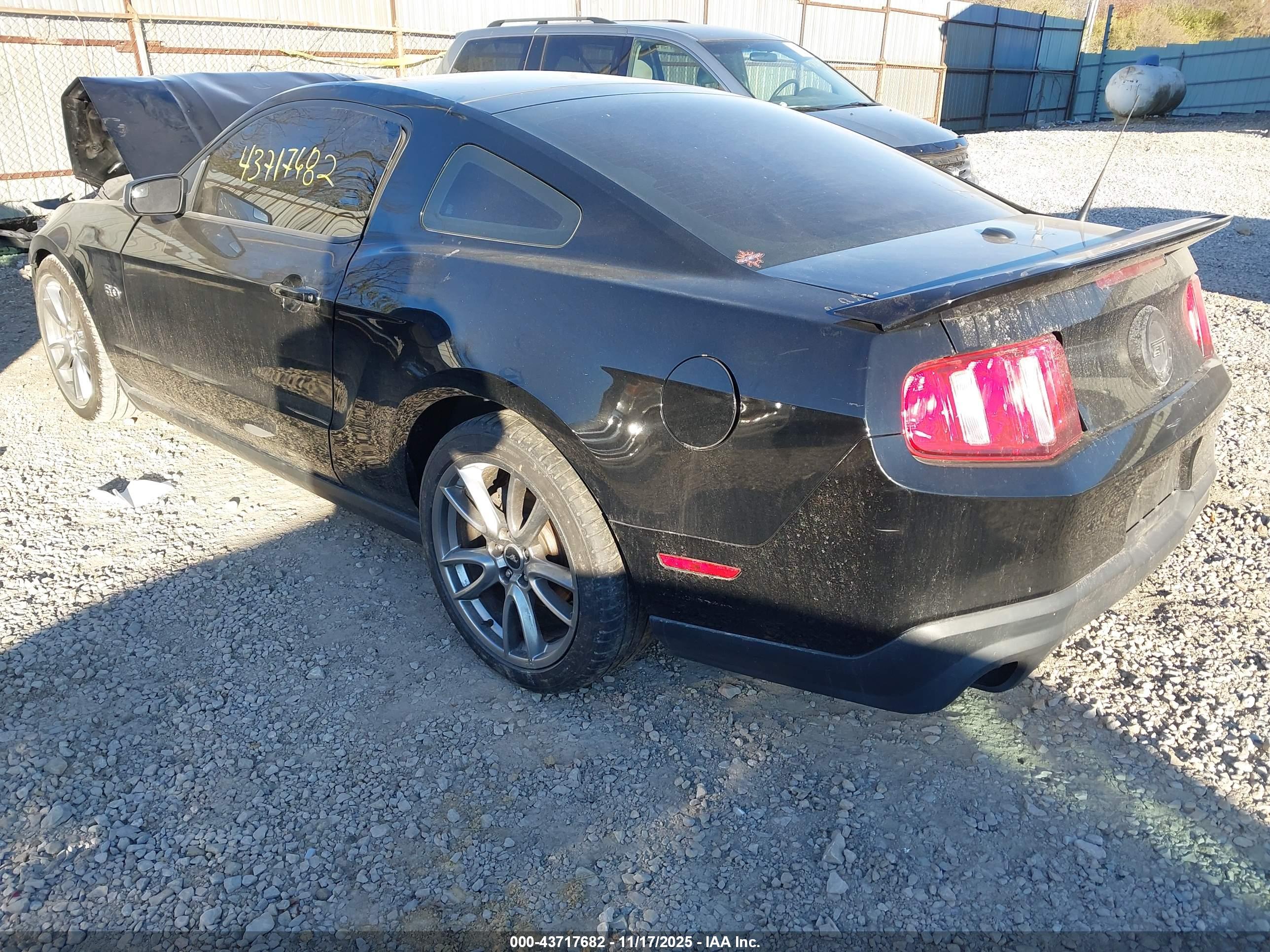 FORD MUSTANG image 3