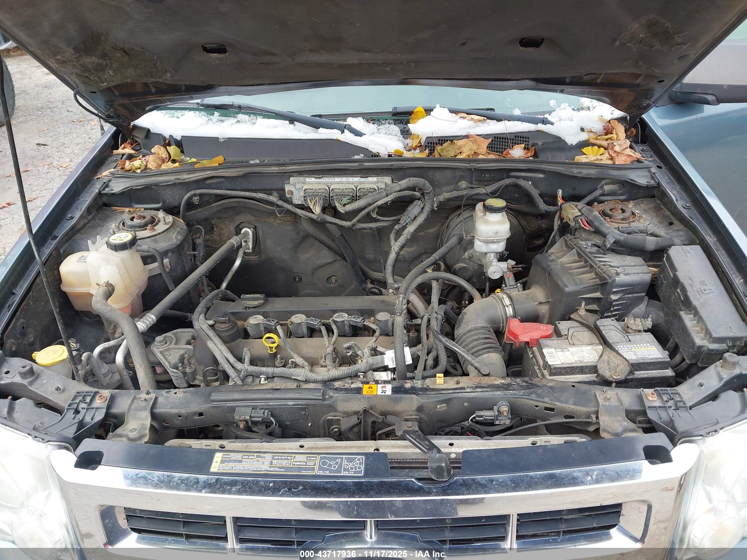 FORD ESCAPE image 10