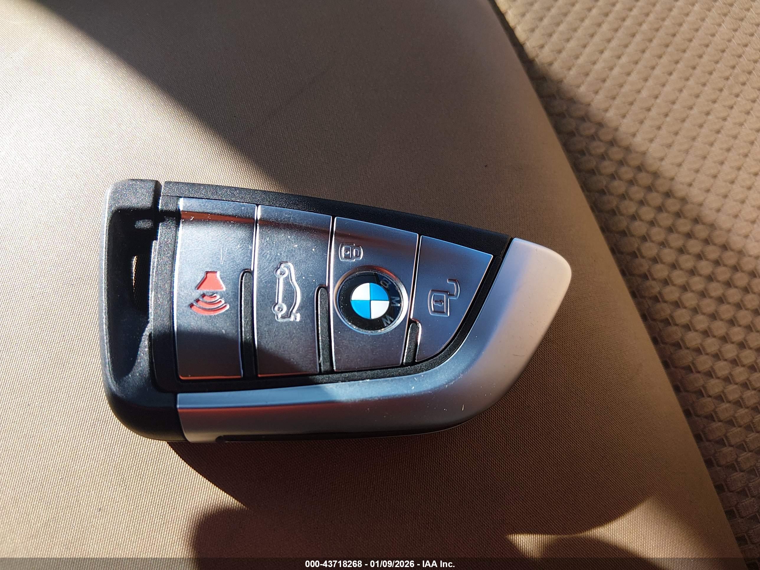 BMW X5 image 11