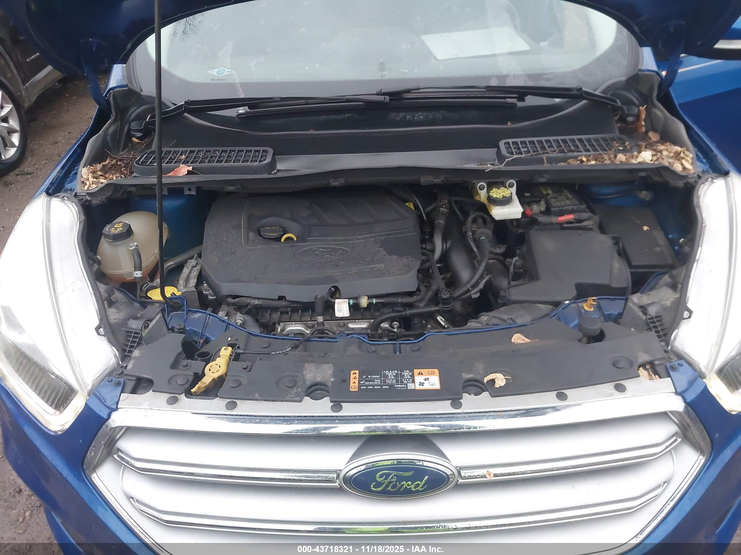 FORD ESCAPE image 10