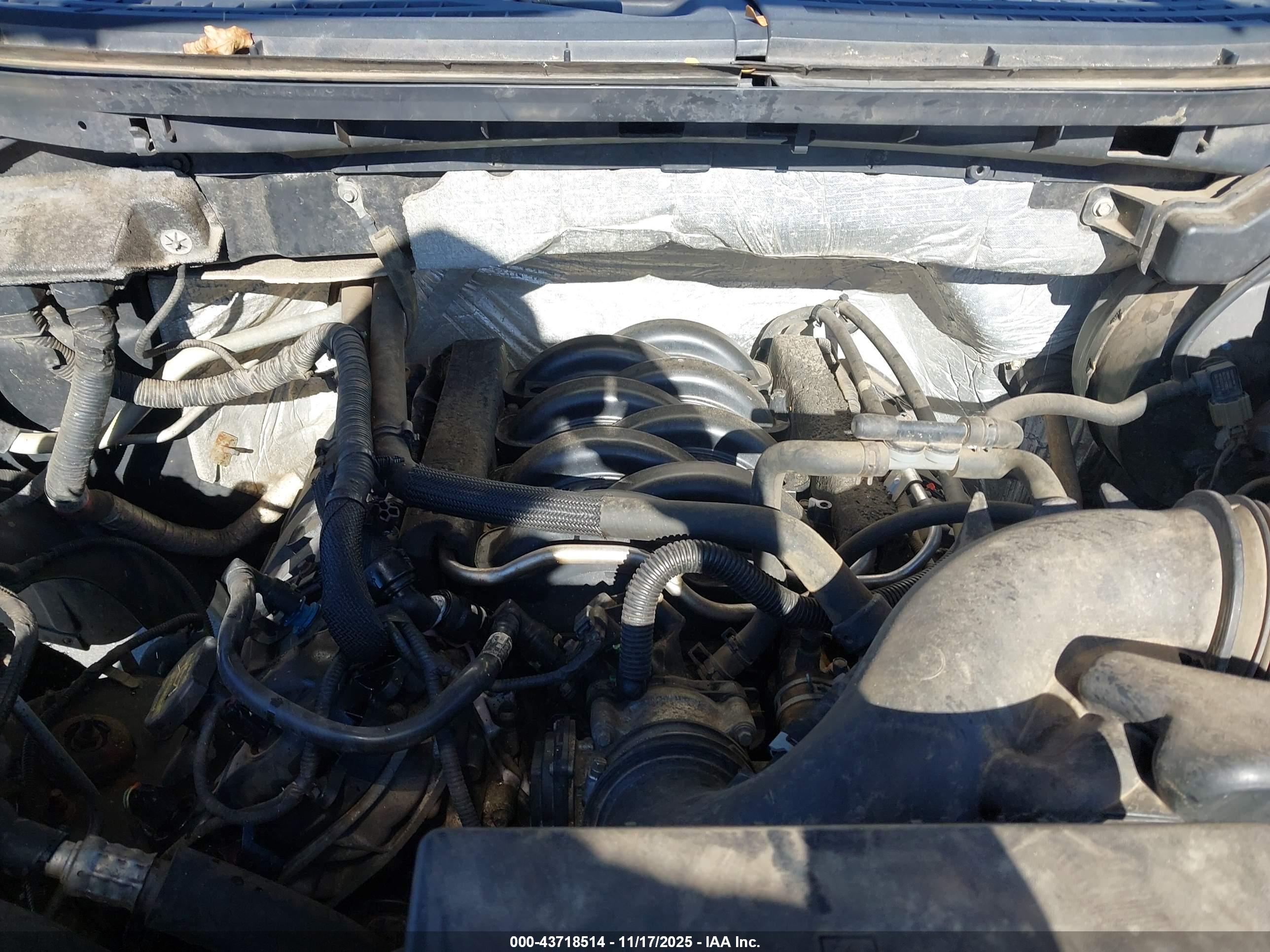 FORD F-150 image 10