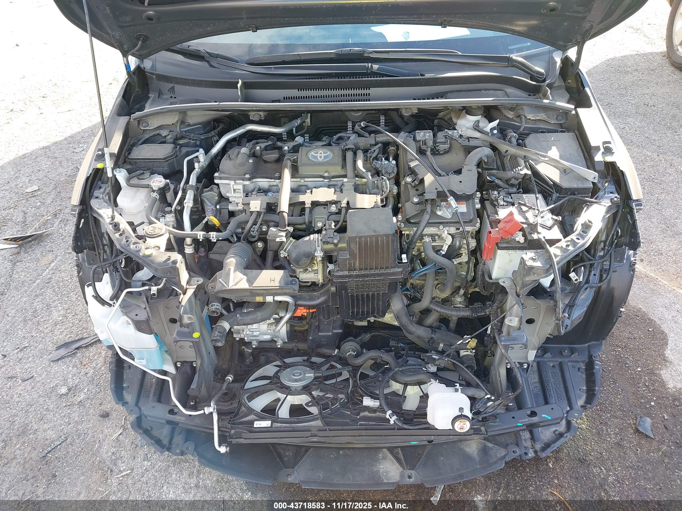 TOYOTA COROLLA image 10