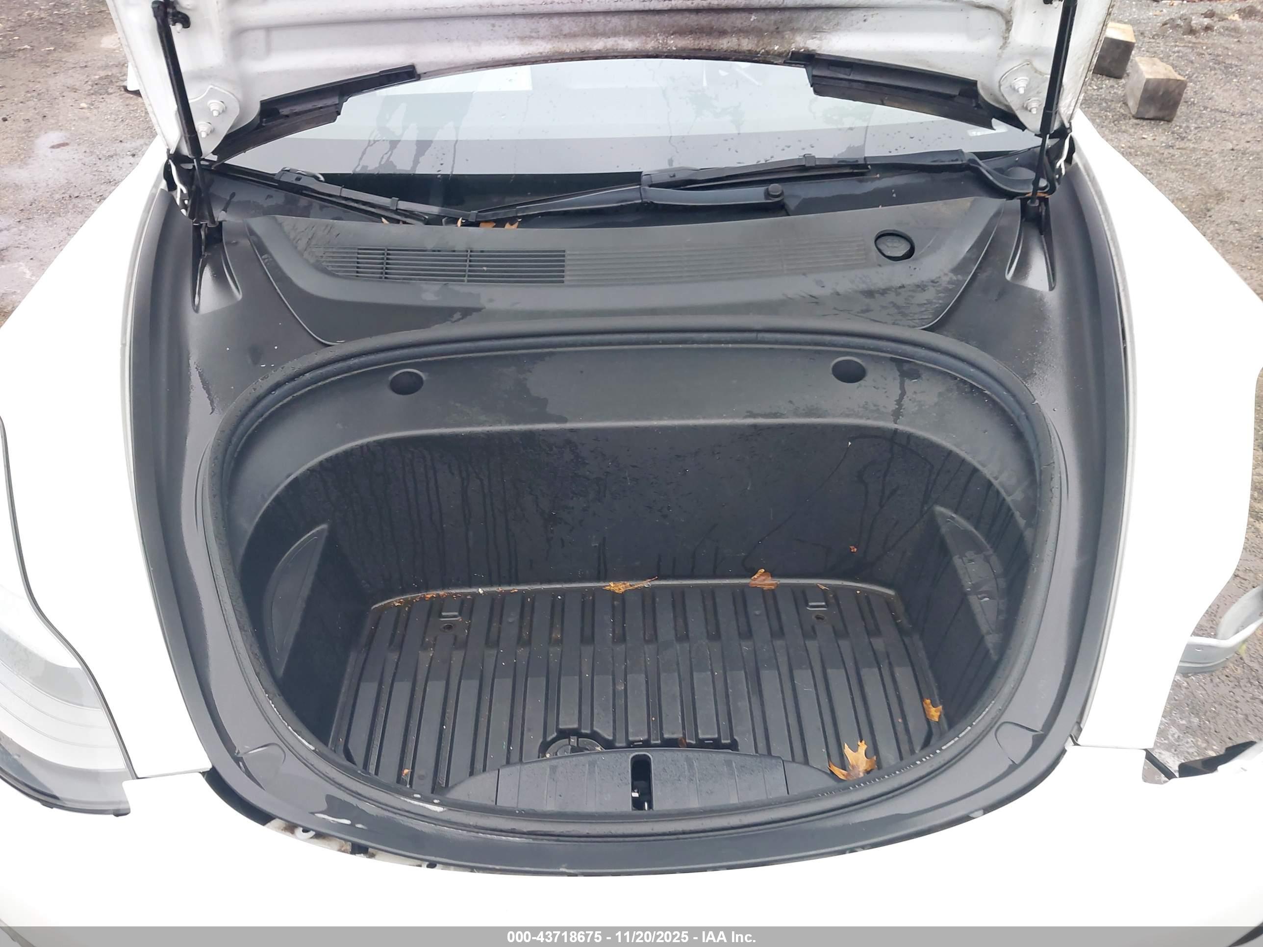 TESLA MODEL image 10