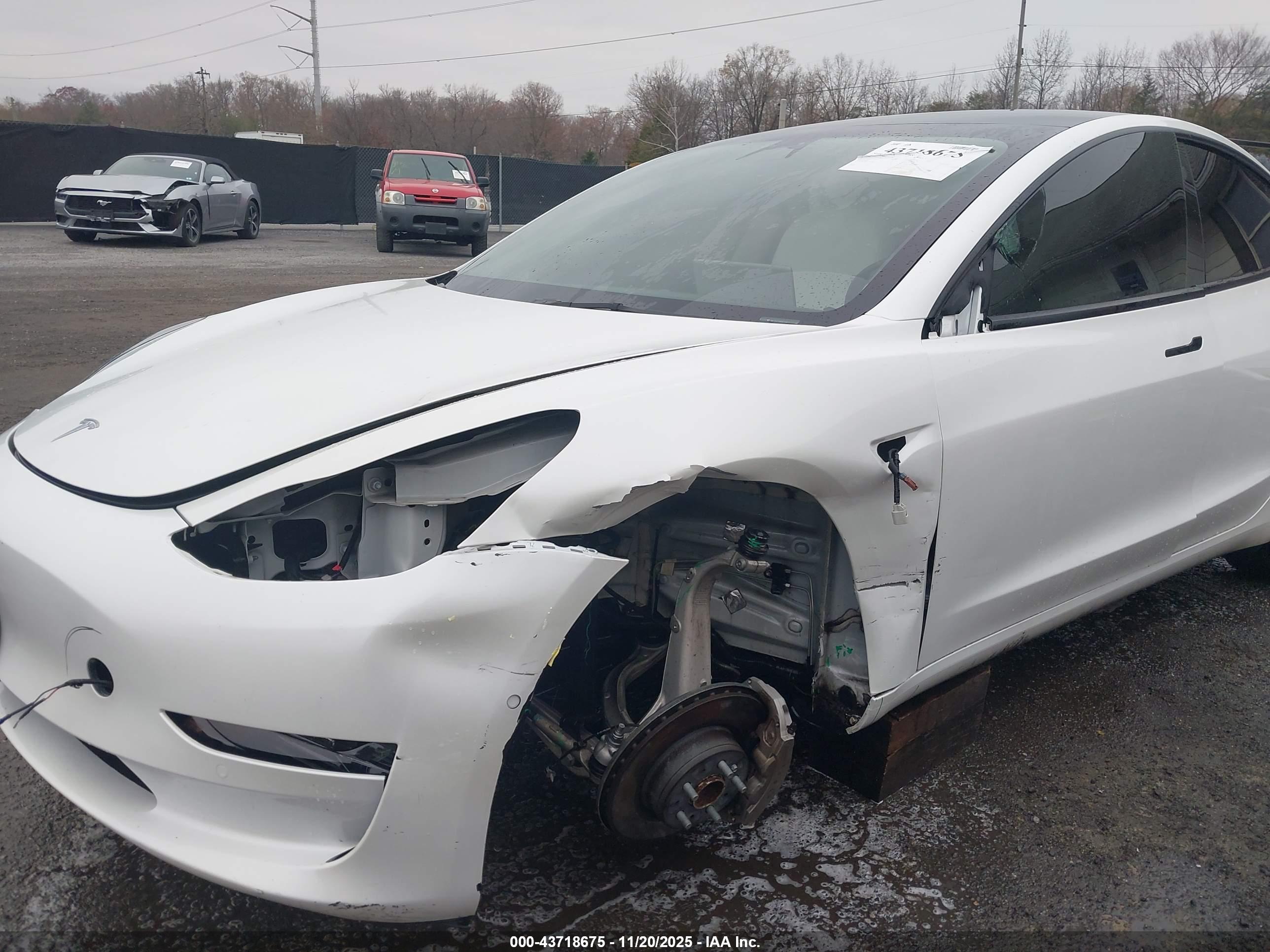 TESLA MODEL image 6