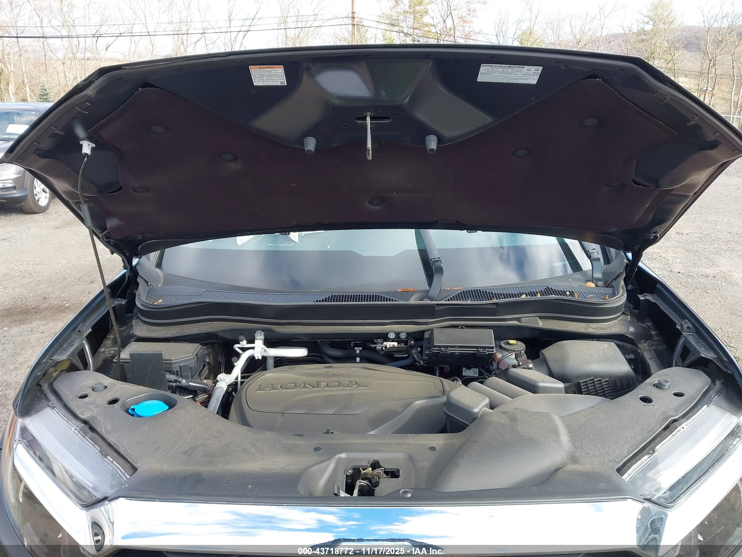 HONDA PASSPORT image 10