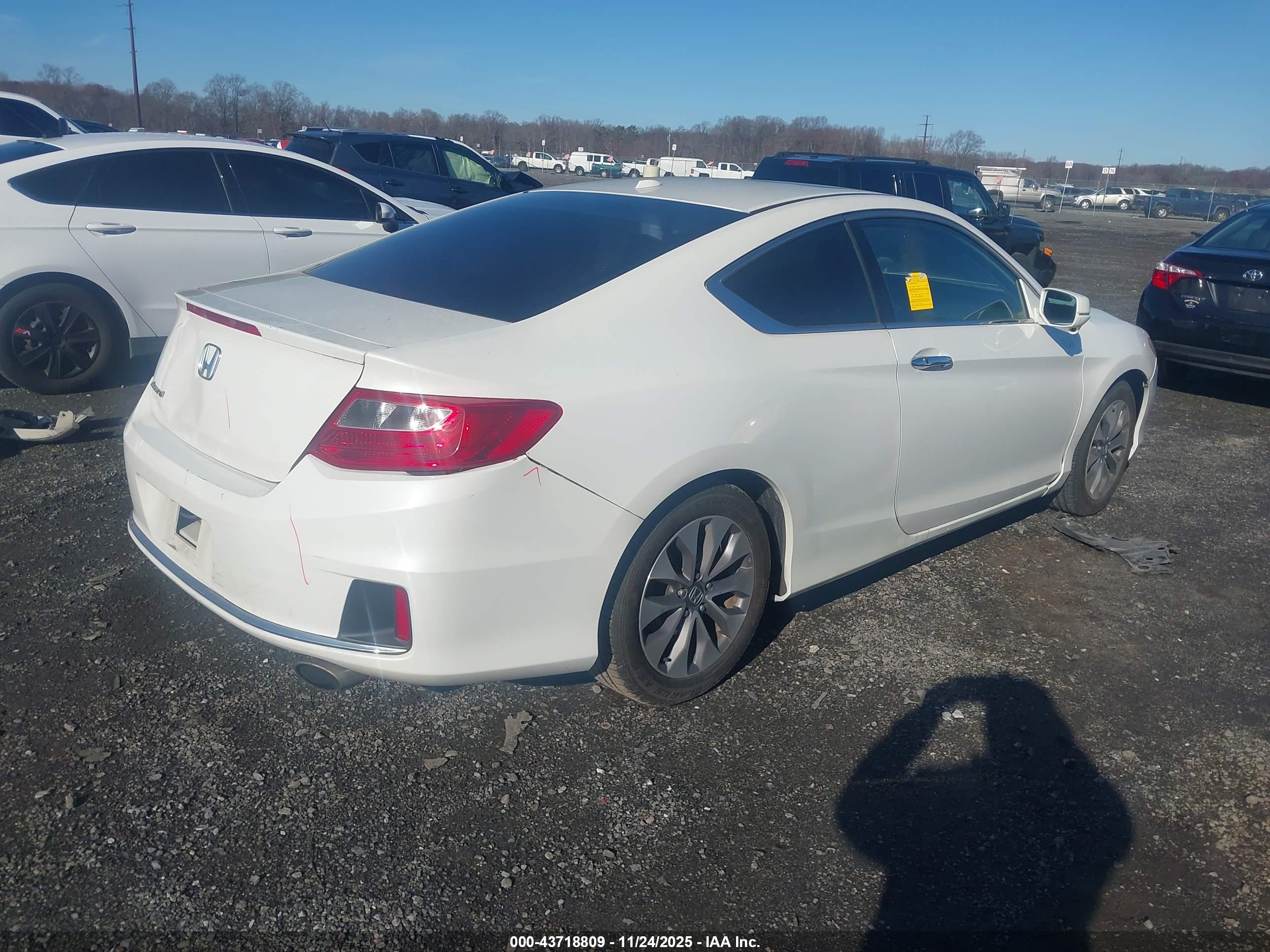 HONDA ACCORD image 4