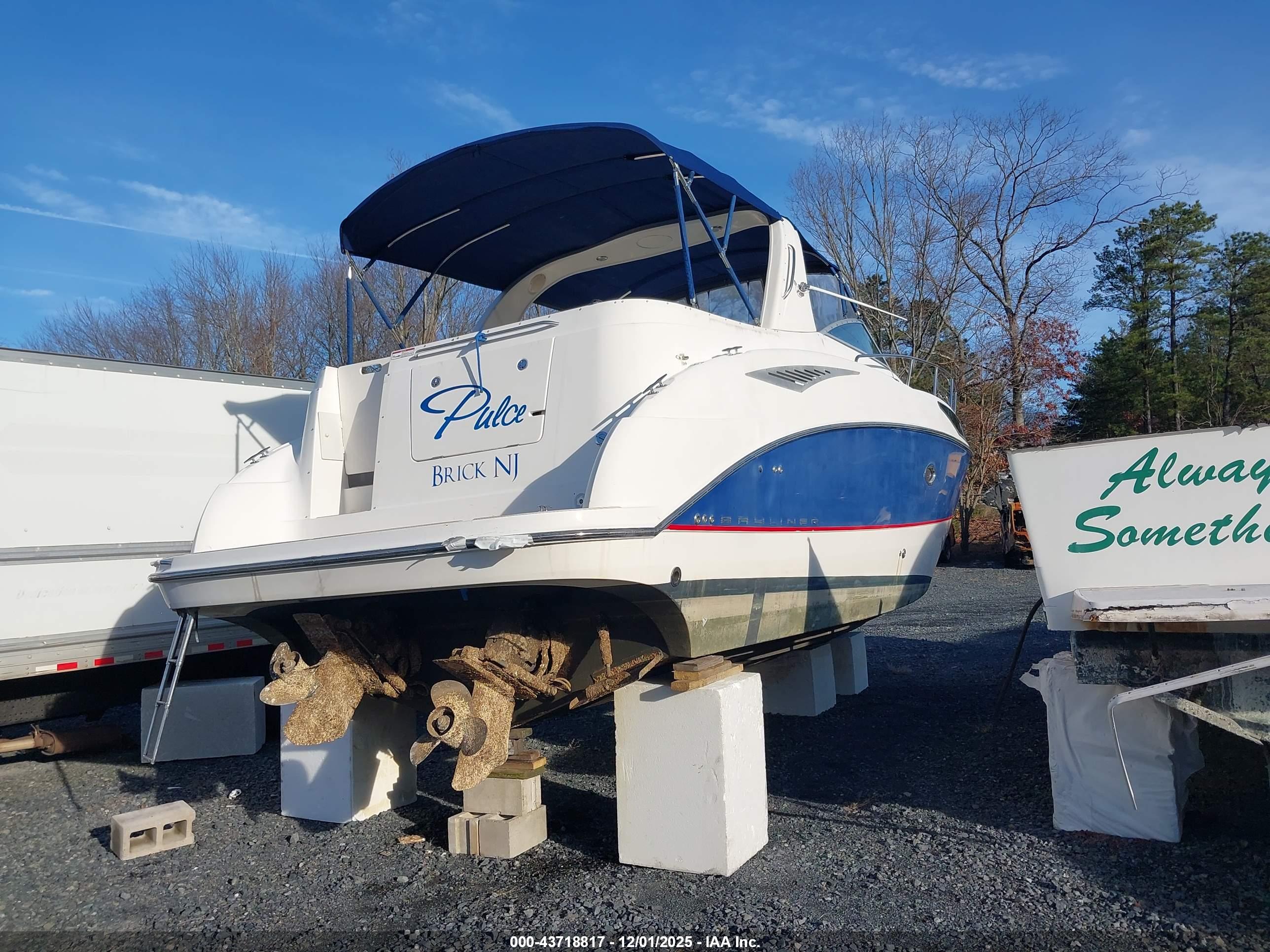 BAYLINER OTHER image 4