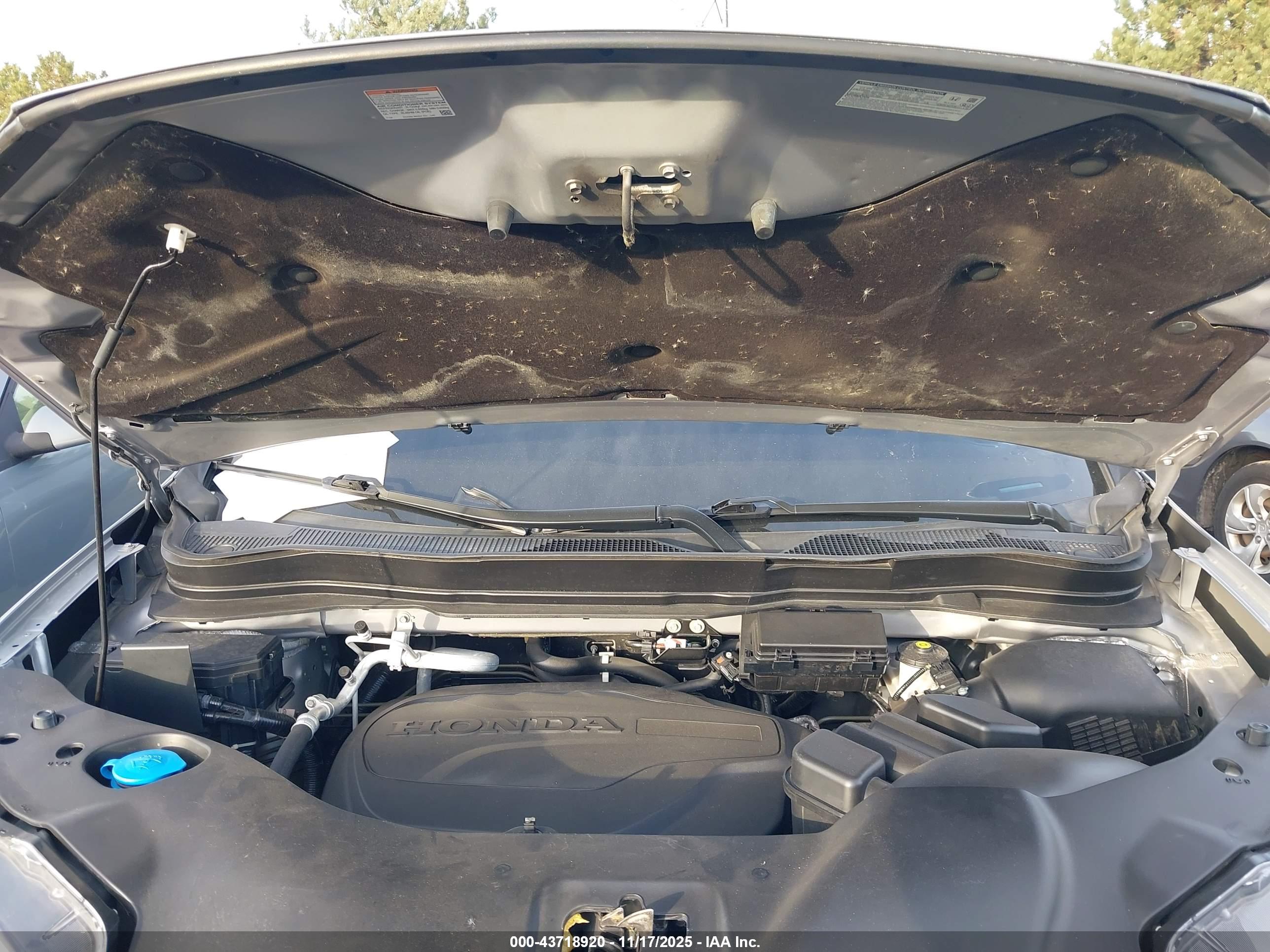 HONDA PILOT image 10