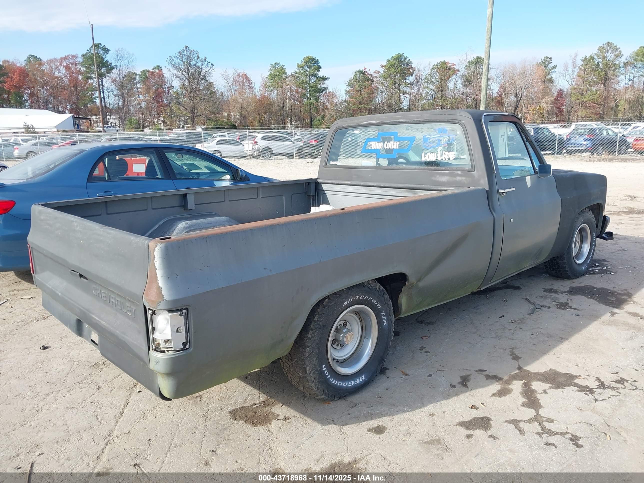 CHEVROLET R10 image 6