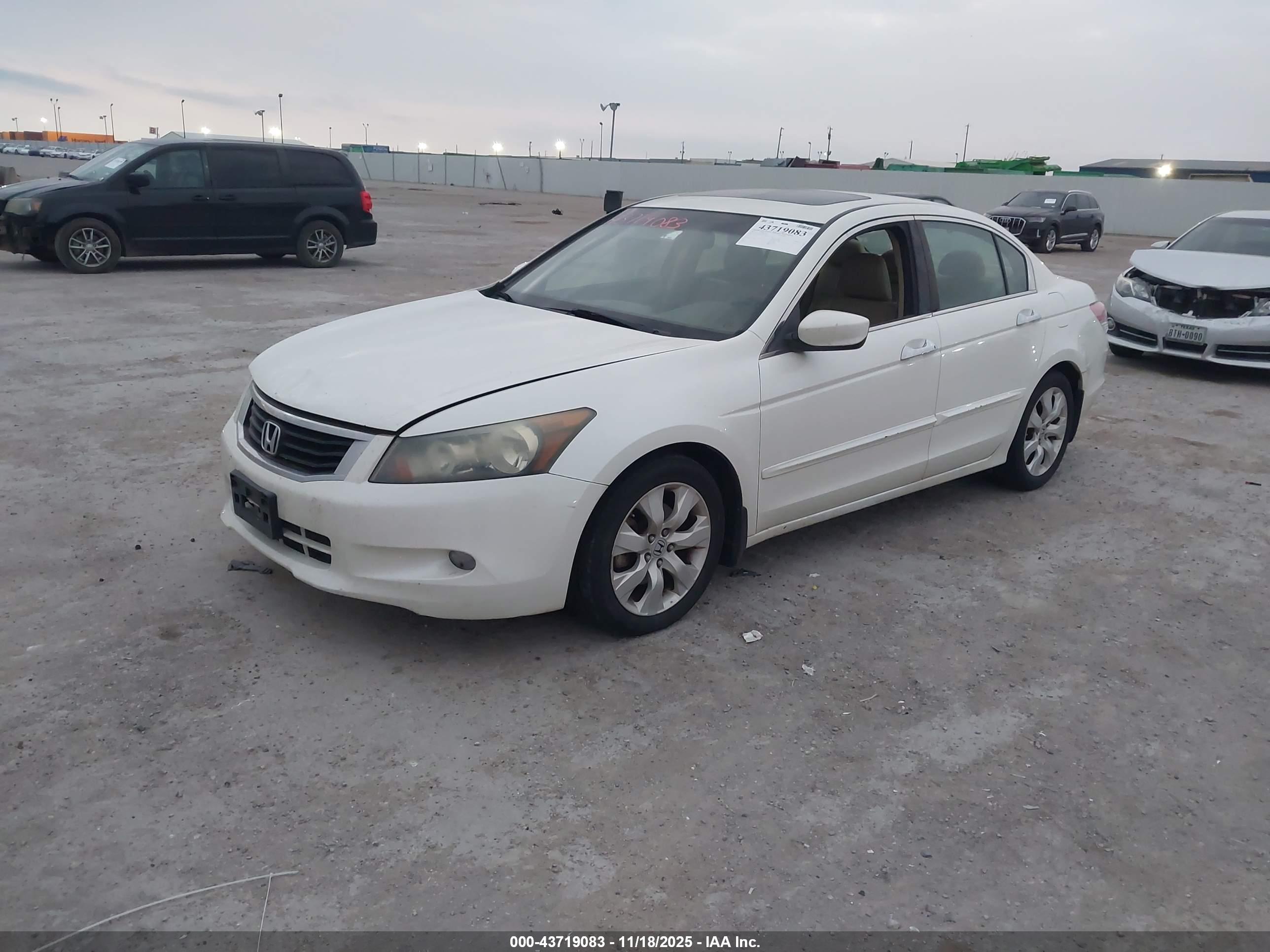 HONDA ACCORD image 2