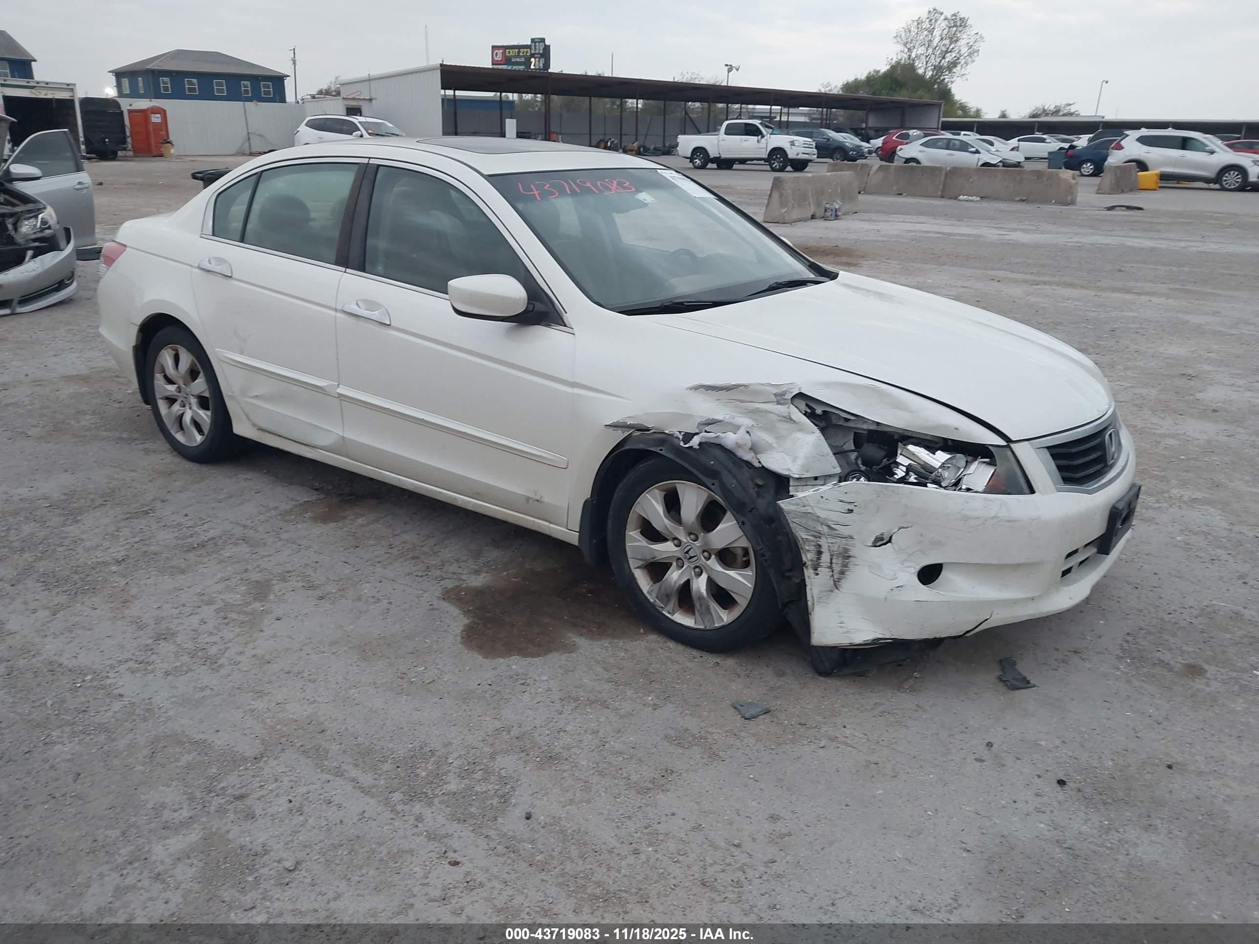 HONDA ACCORD image 6