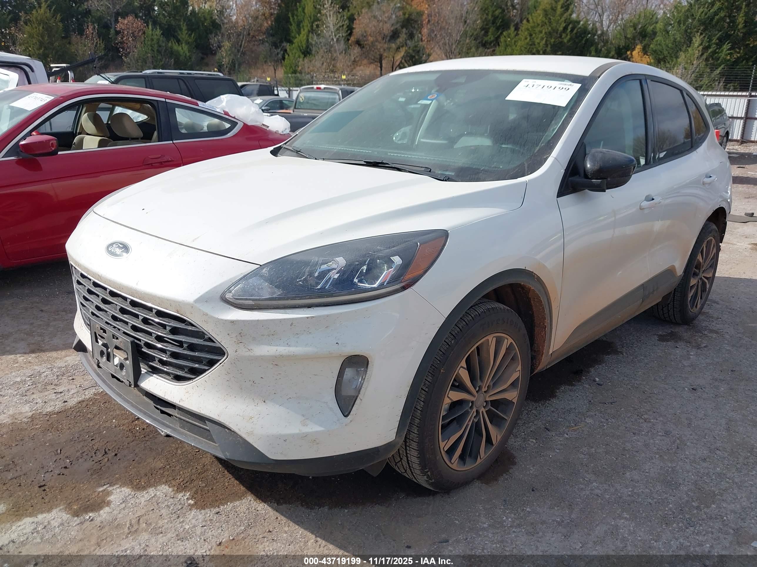 FORD ESCAPE image 2