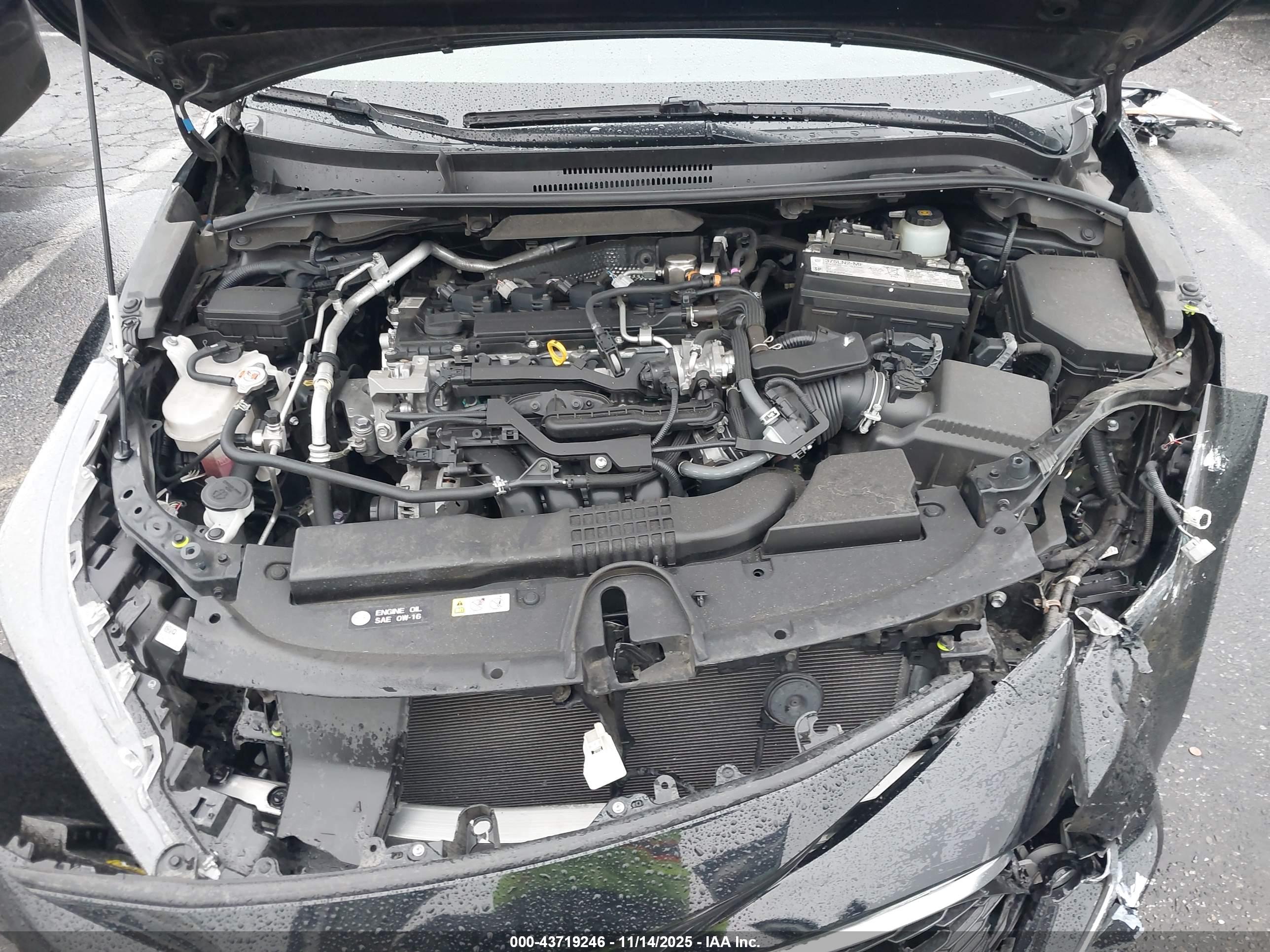 TOYOTA COROLLA image 10