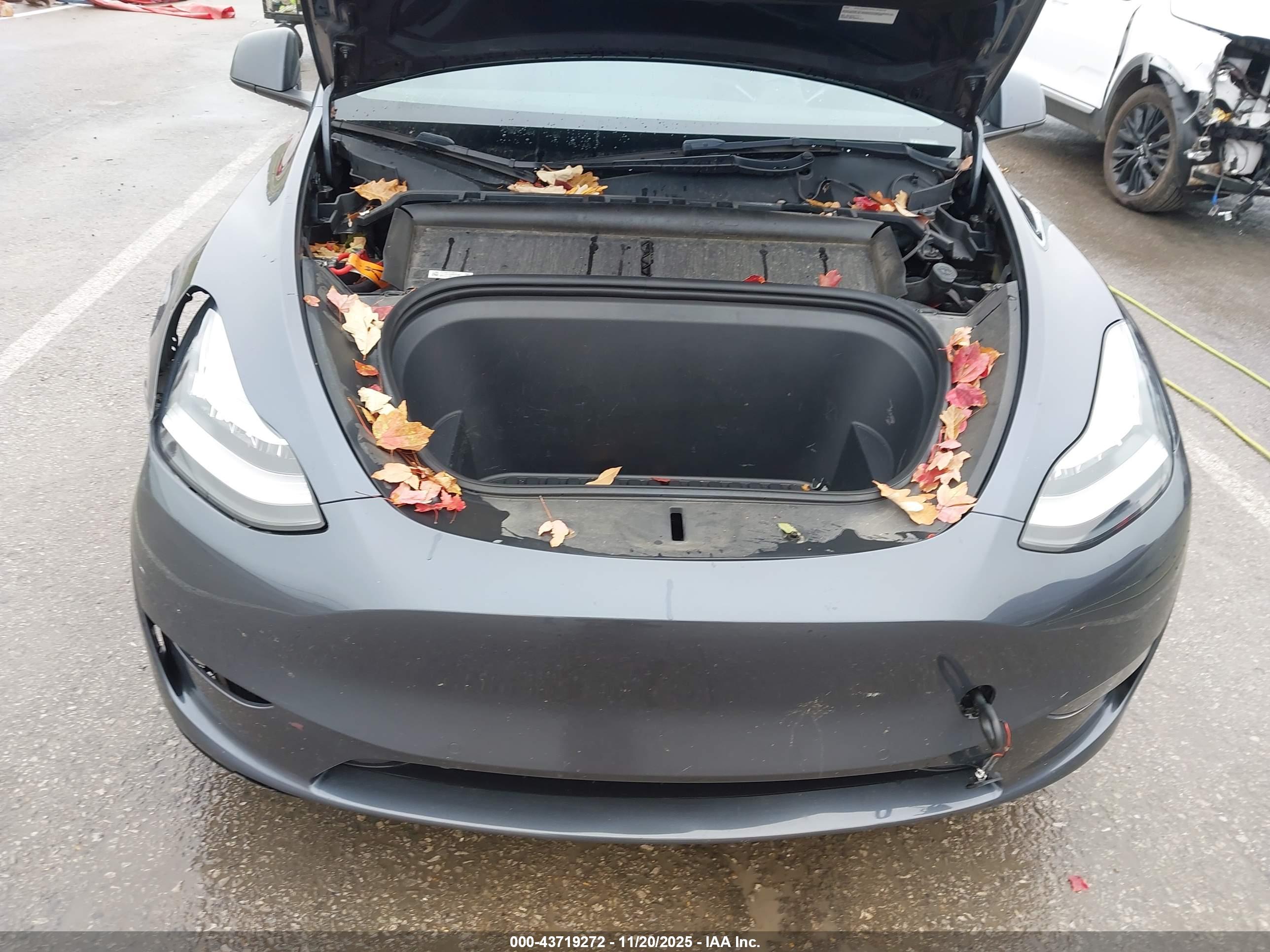 TESLA MODEL image 10