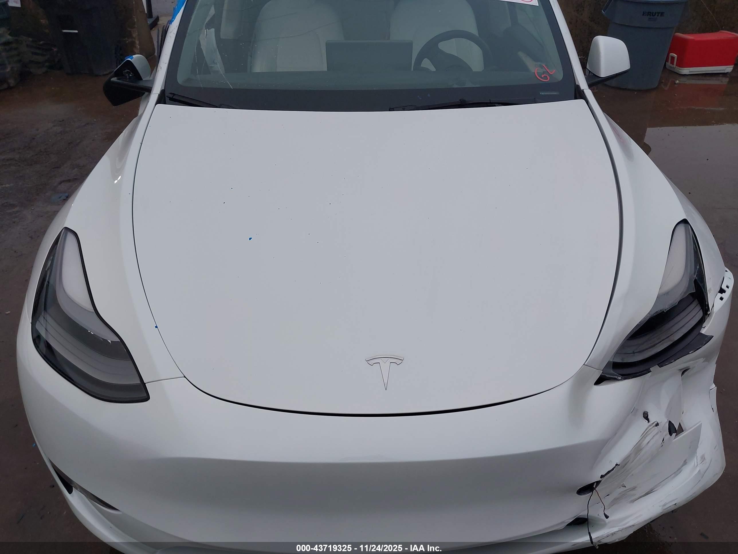 TESLA MODEL image 10