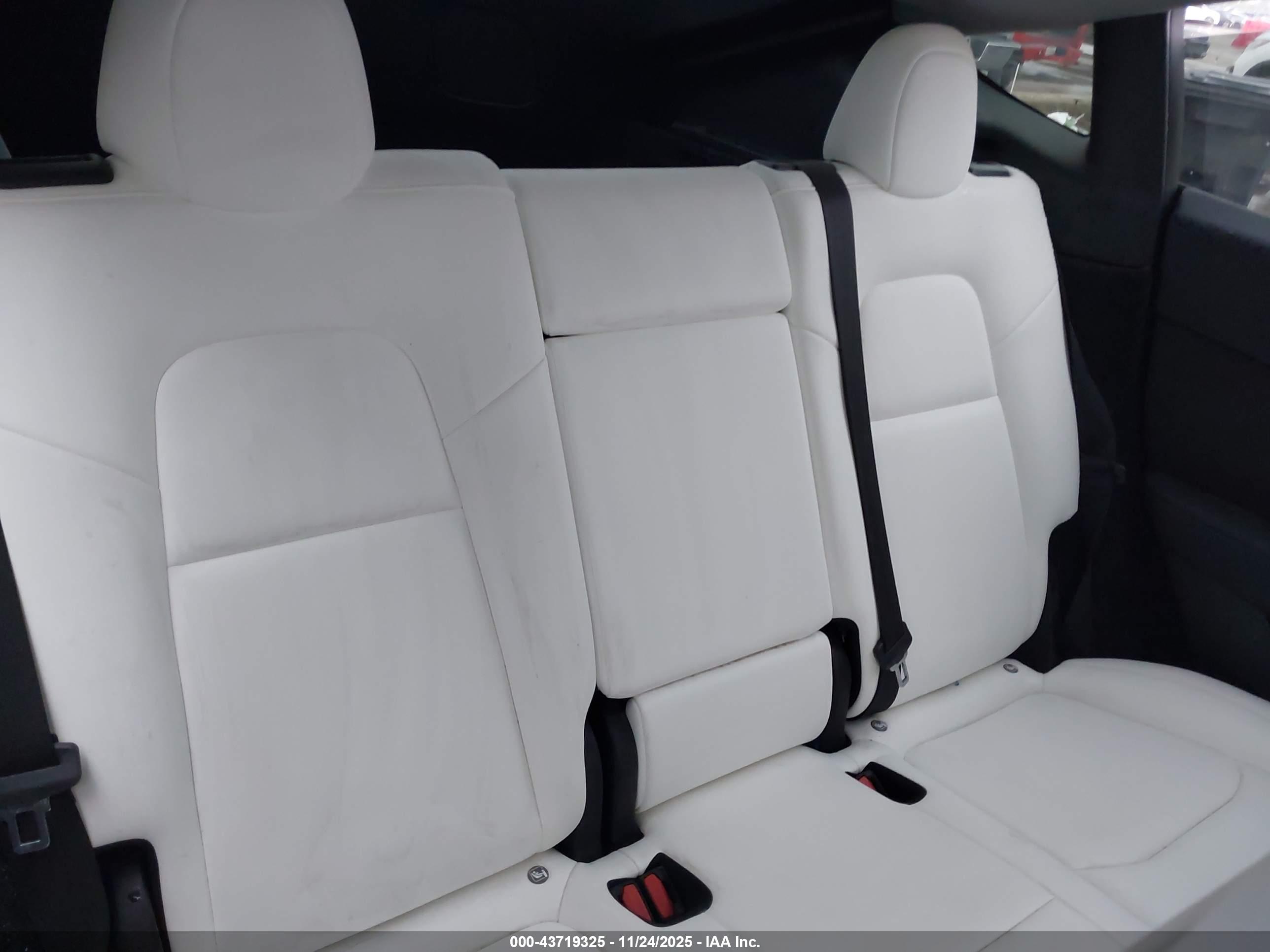 TESLA MODEL image 8