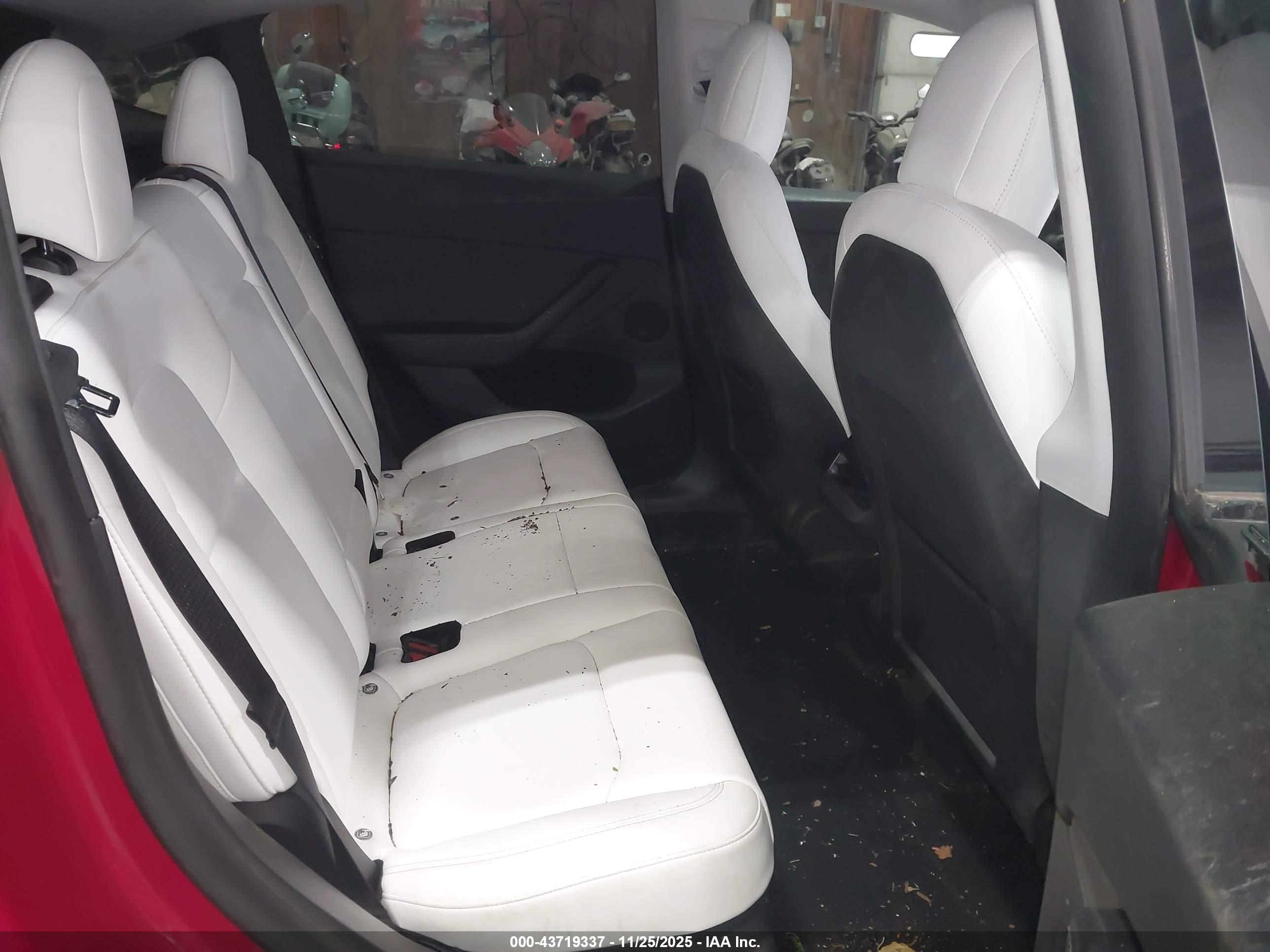 TESLA MODEL image 8