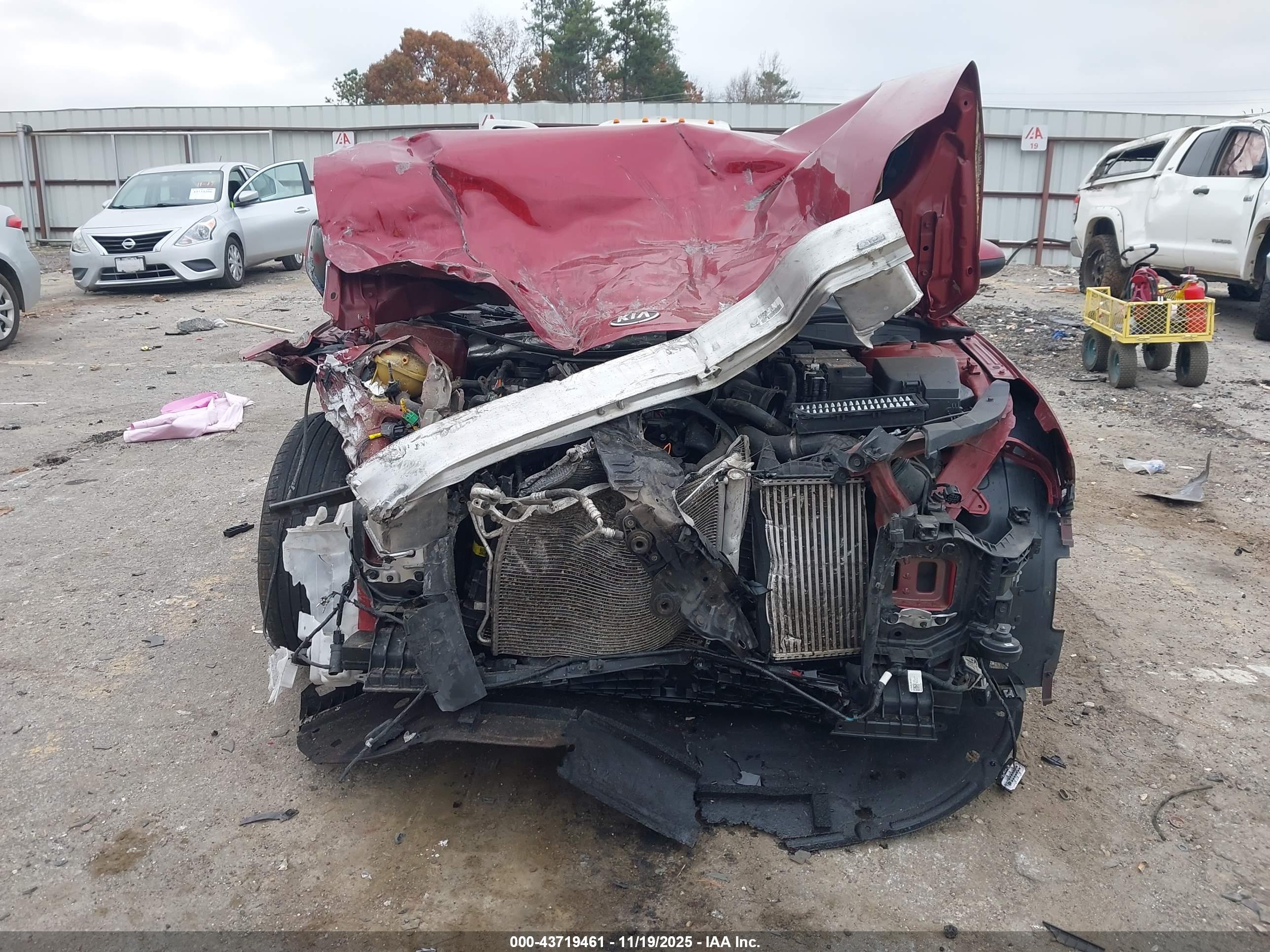 KIA K5 image 6
