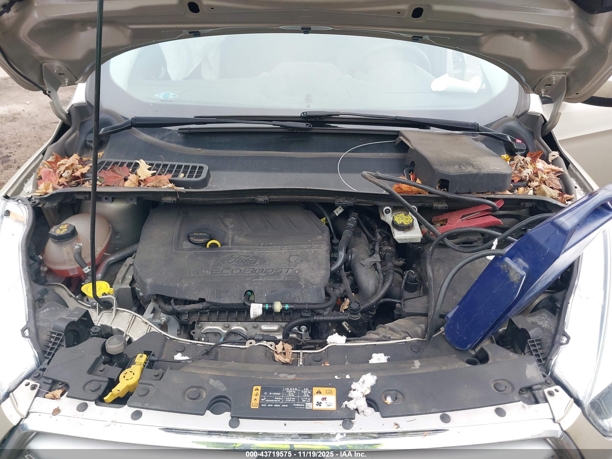 FORD ESCAPE image 10