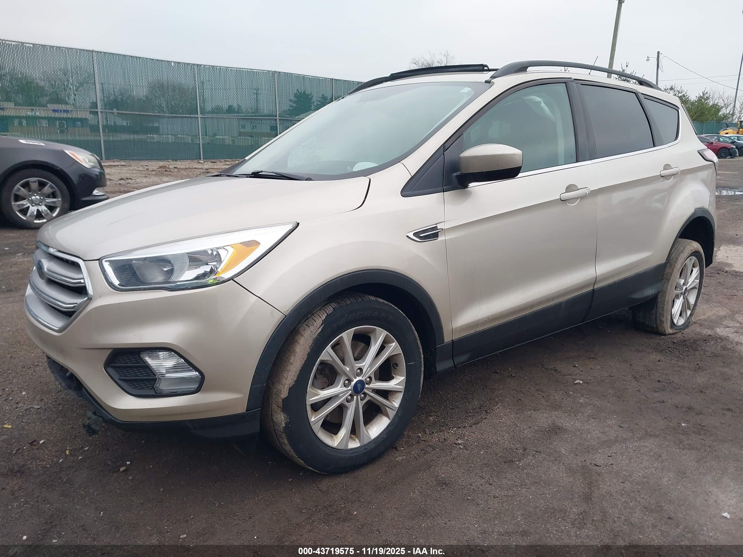FORD ESCAPE image 2